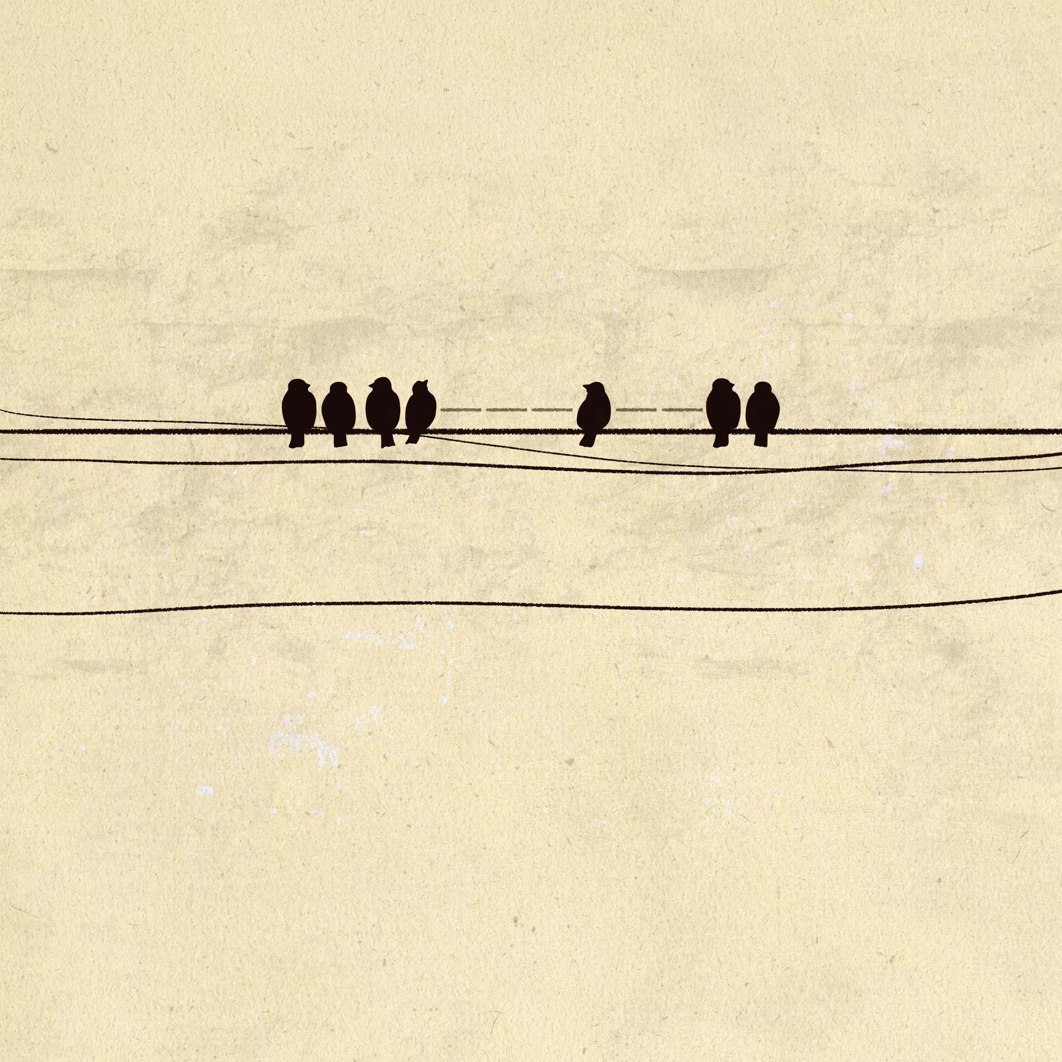 Birds: hope