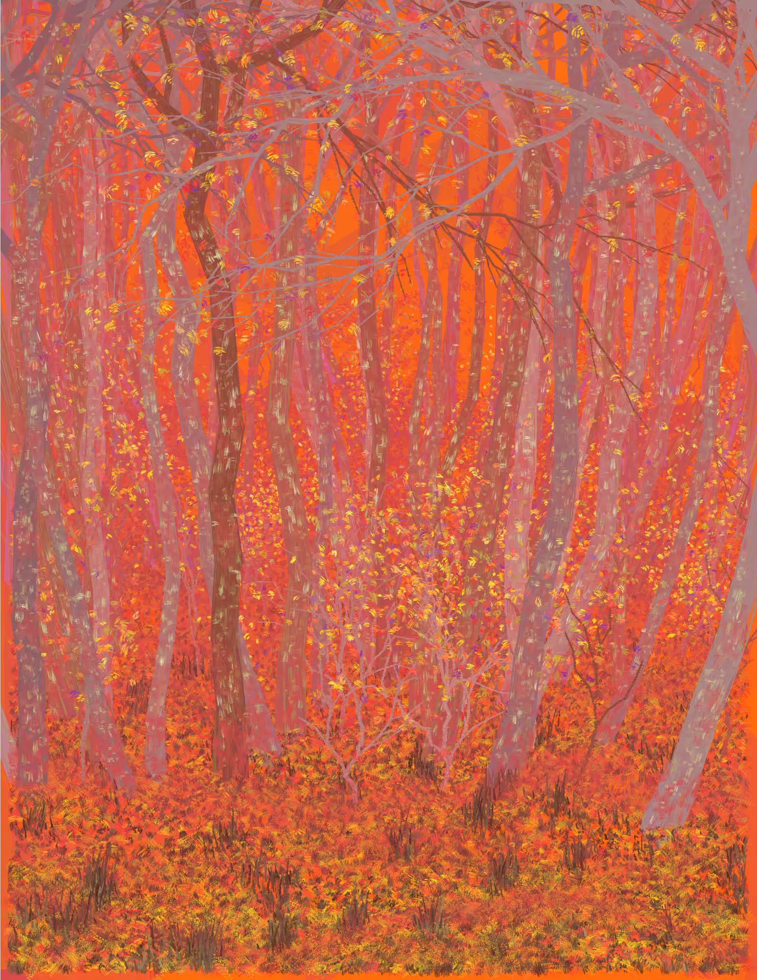 Deep Forest #232