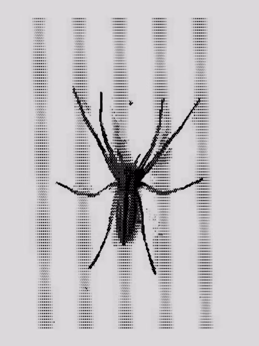 "Dot Matrix Spider" by Richard F. Yates (Holy Fool)
