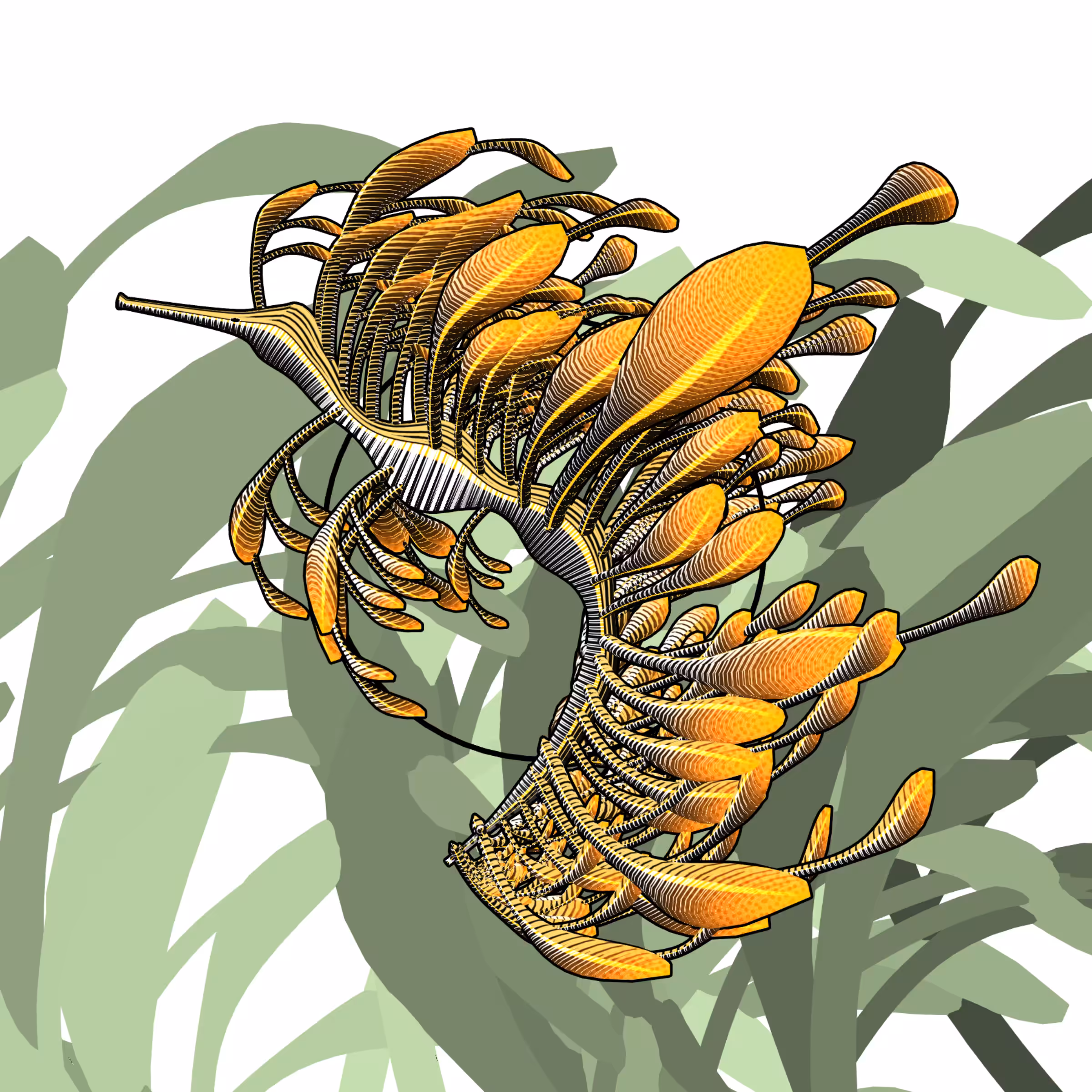 Seadragons #695