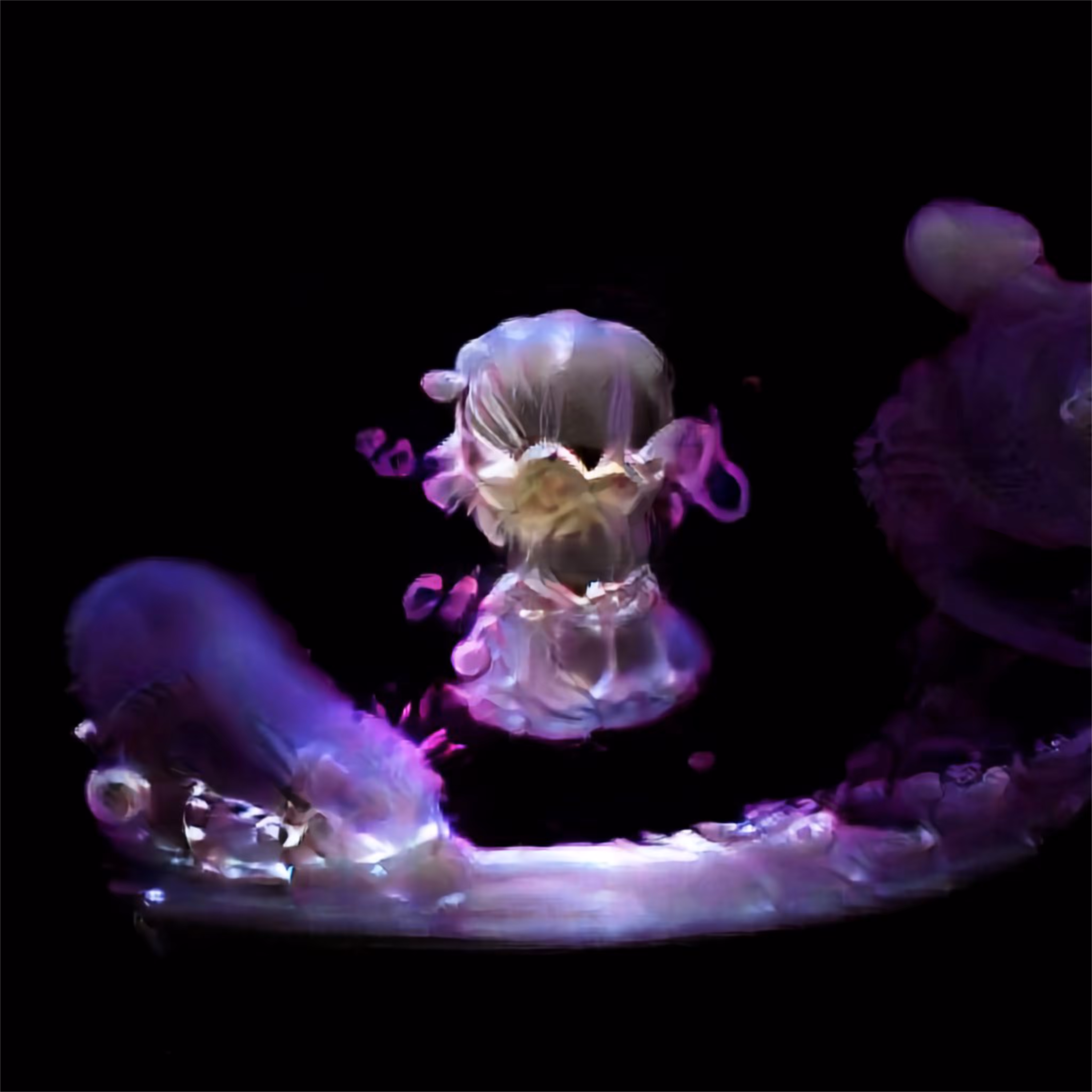virtusphere
