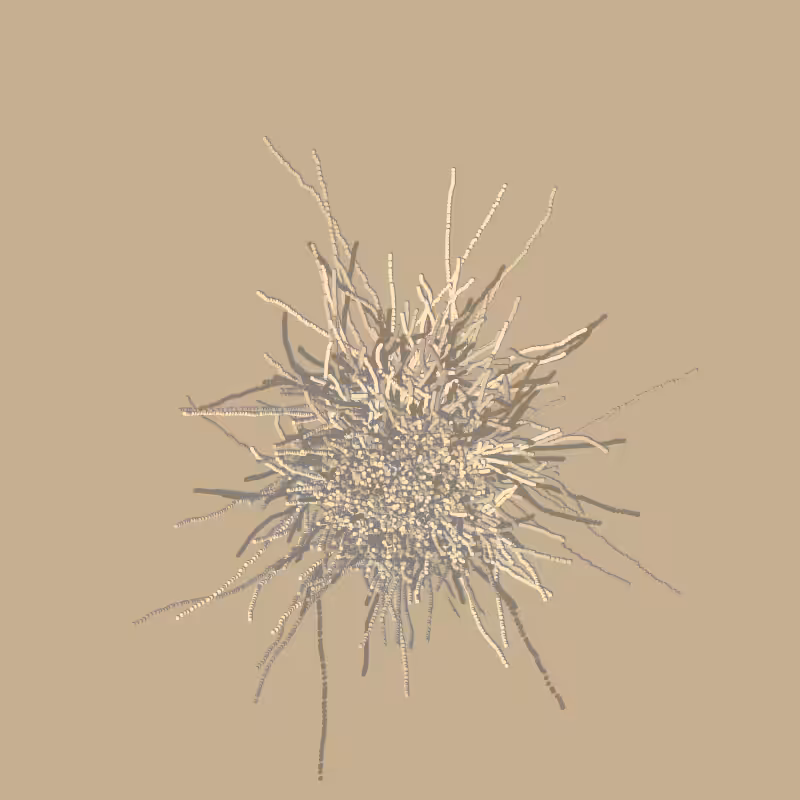 fibinous infection #144