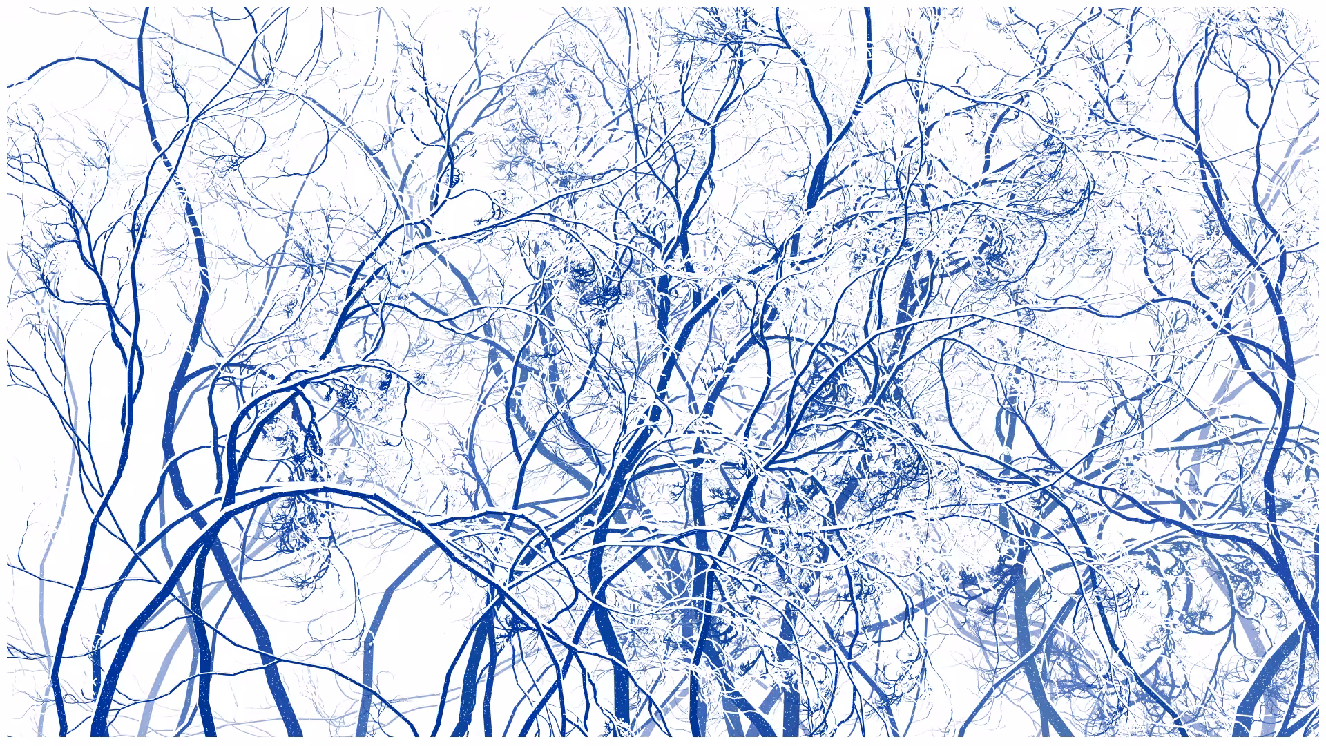 SCHNEEWALD #85