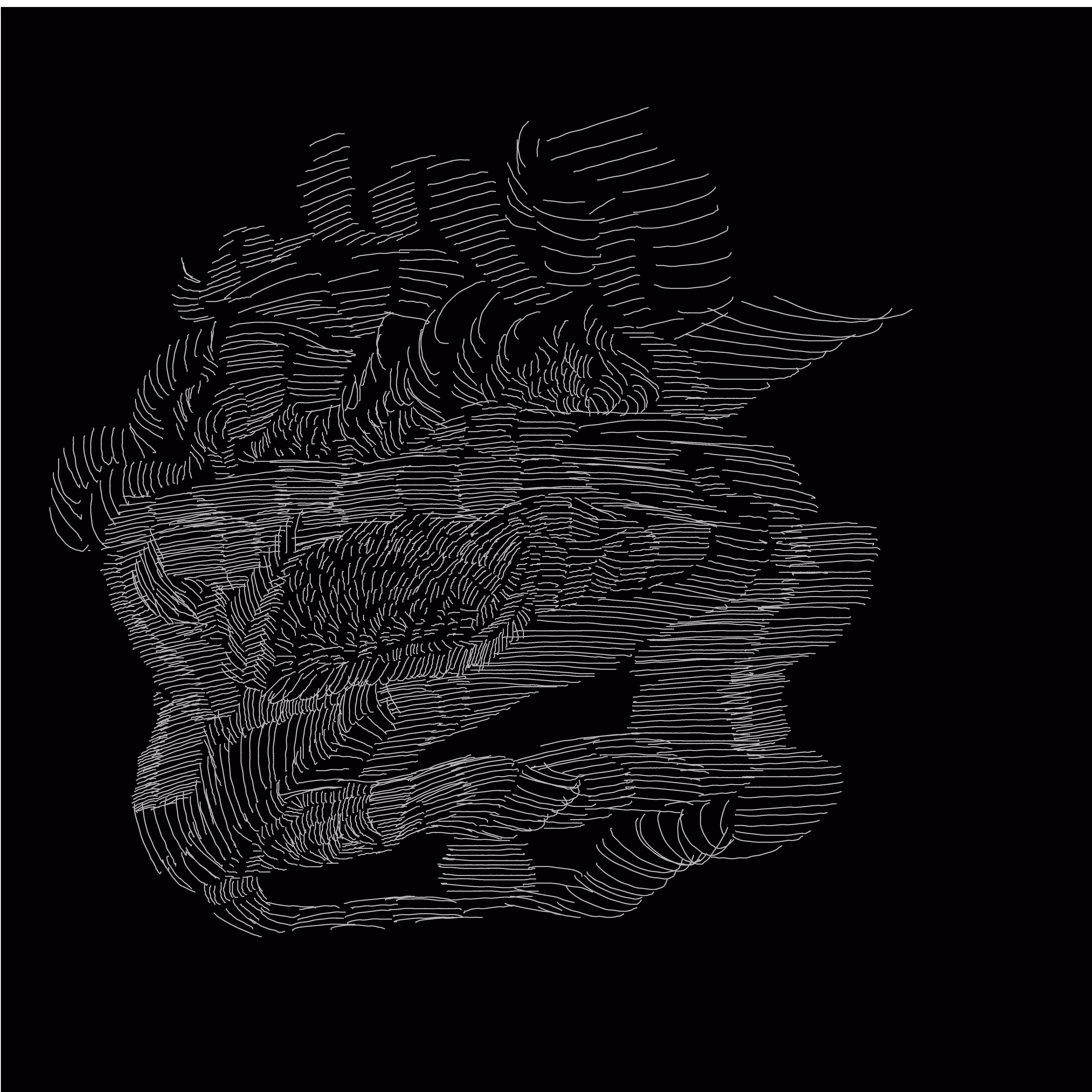 ɓuos ʞɹɐp ɐ ǝlʇsıɥʍ