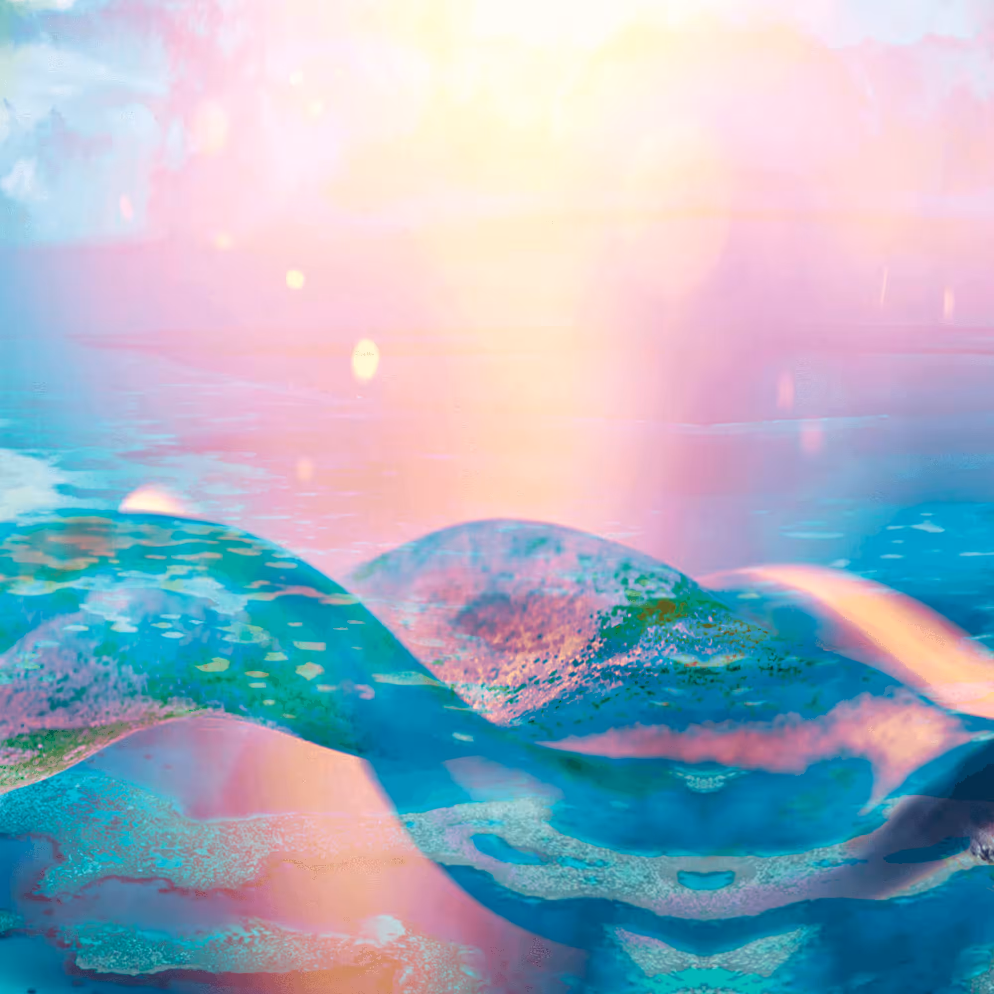 Sea