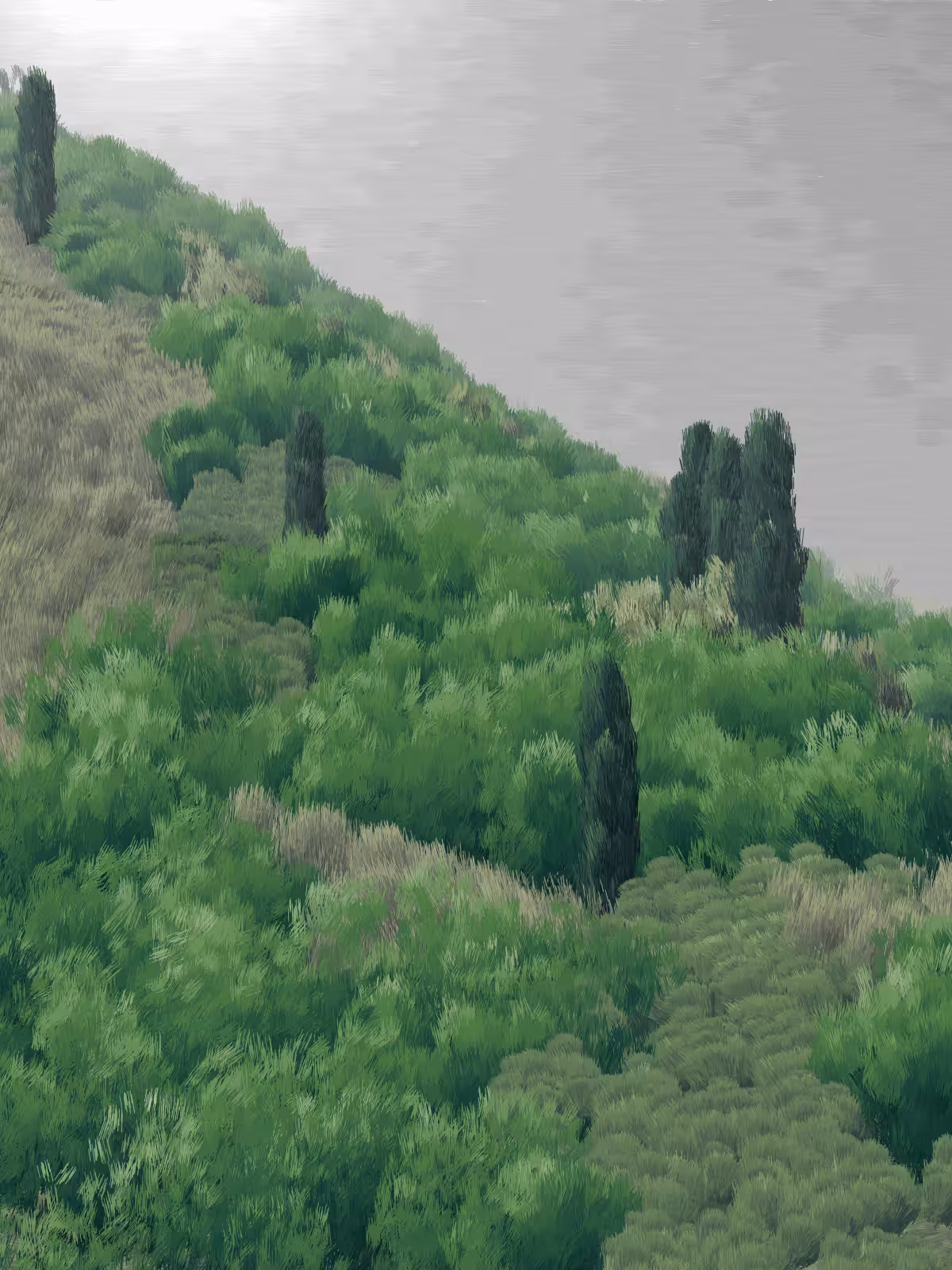 Provence #49