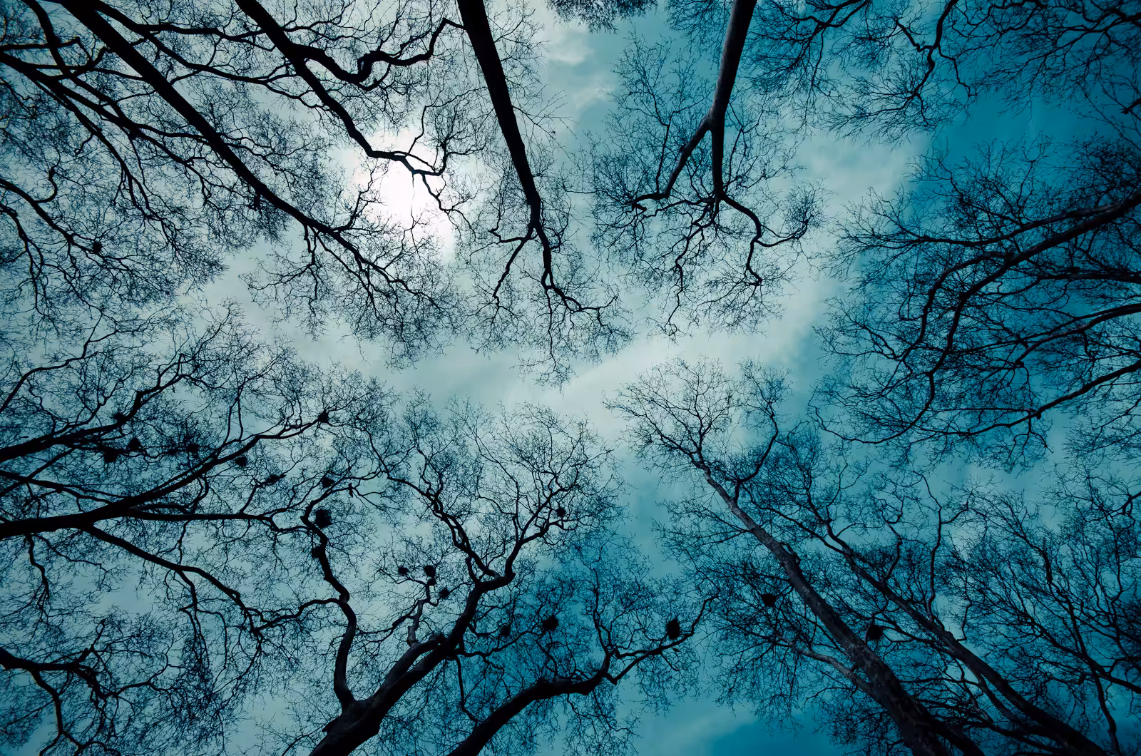 Lying Down...
