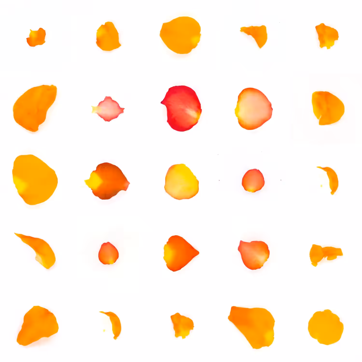 Infinite Petals 5x5#906