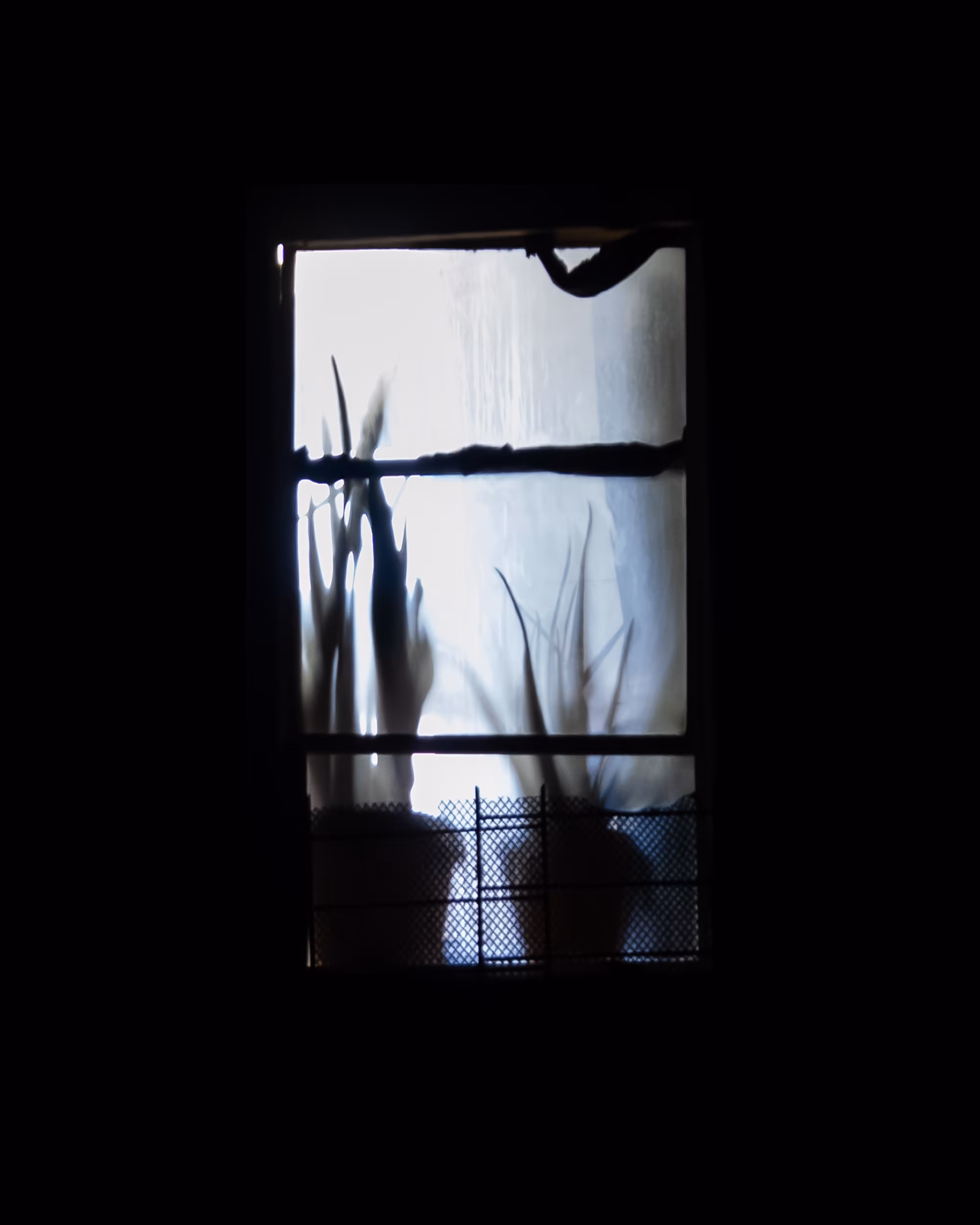 WINDOW 579