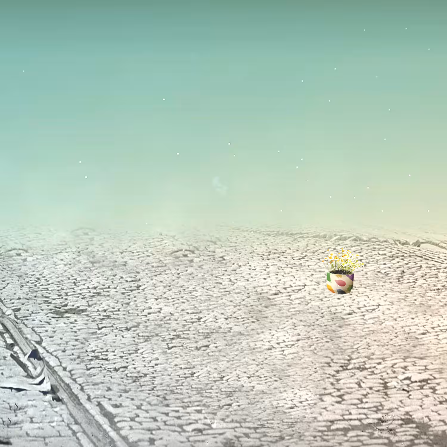 Daily #15 - walking with you