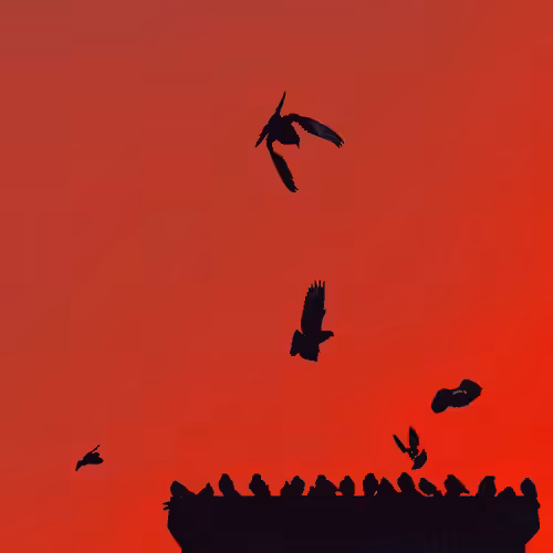 Migrating Has No Beginning