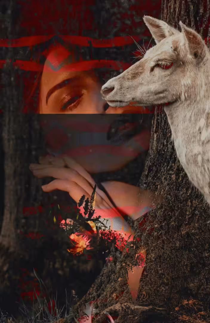 Woodland Séance