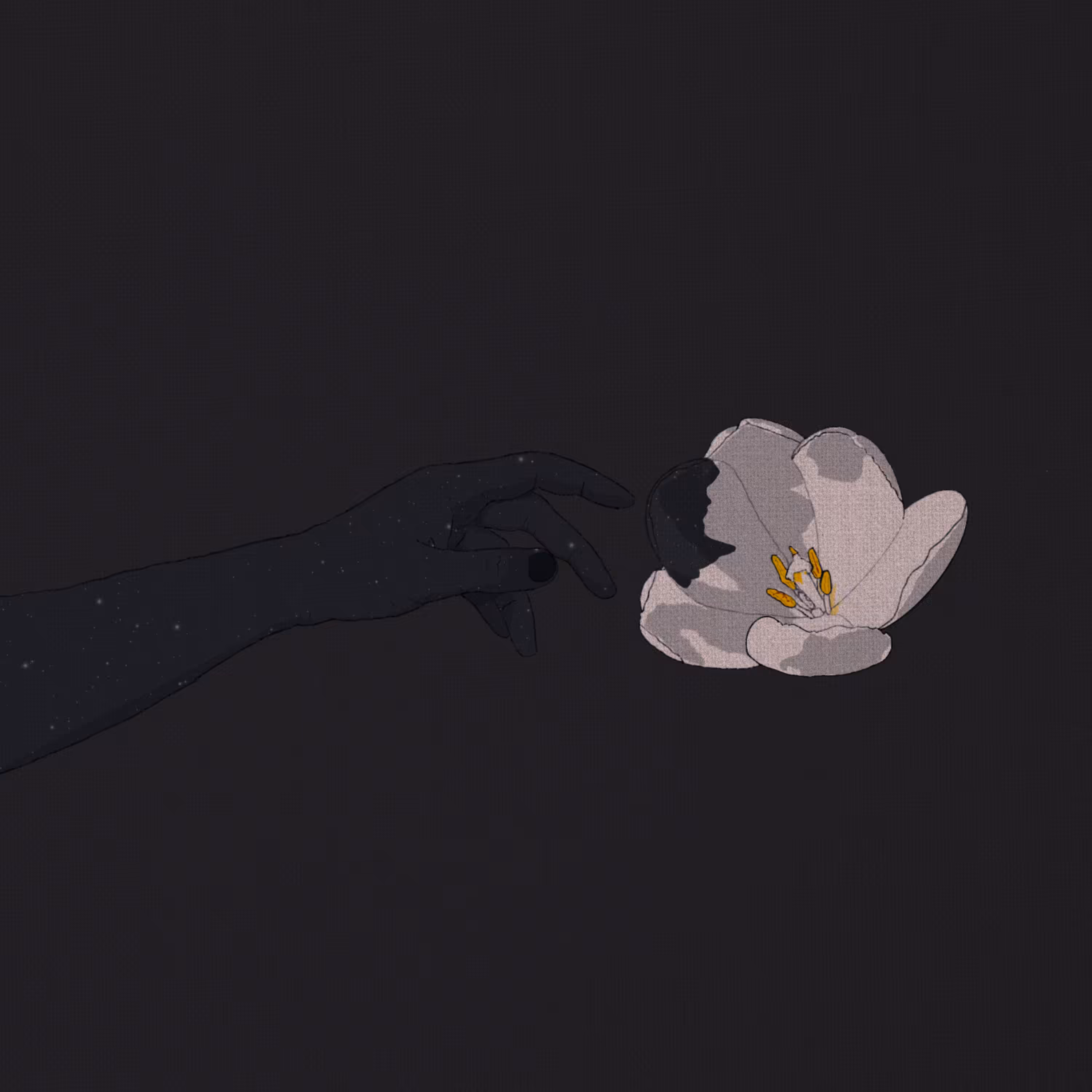 Everything I Touch