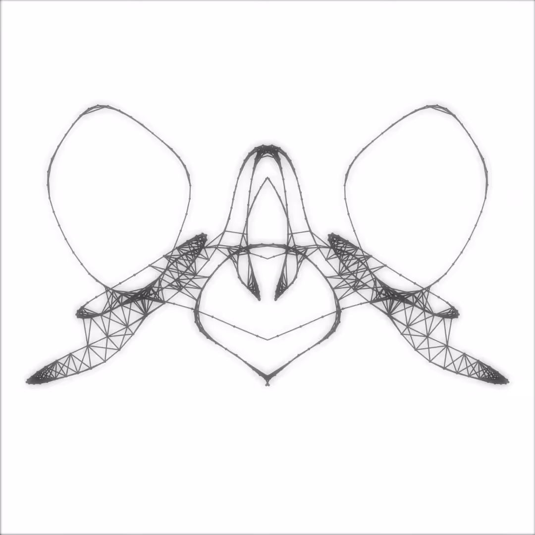 lofi butterfly