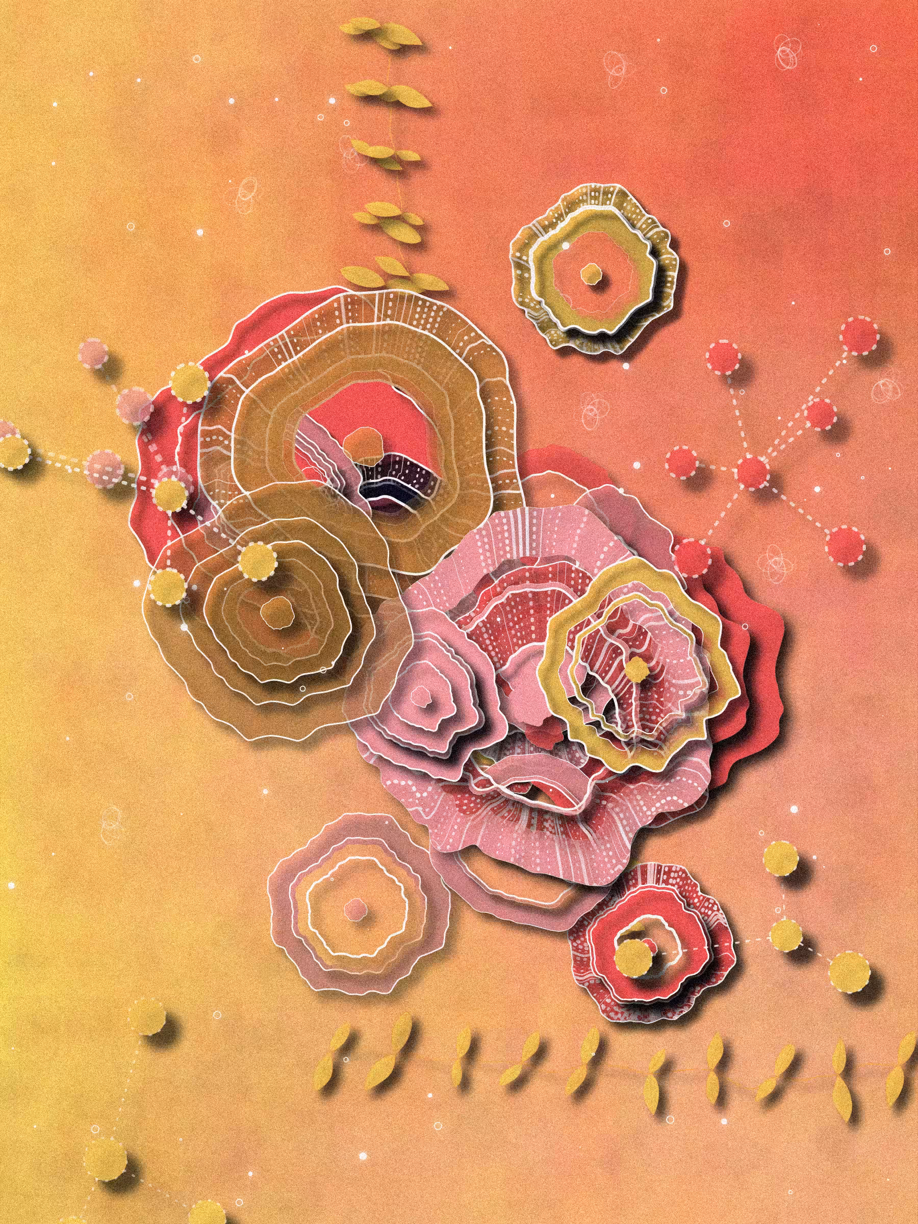 Coral #8