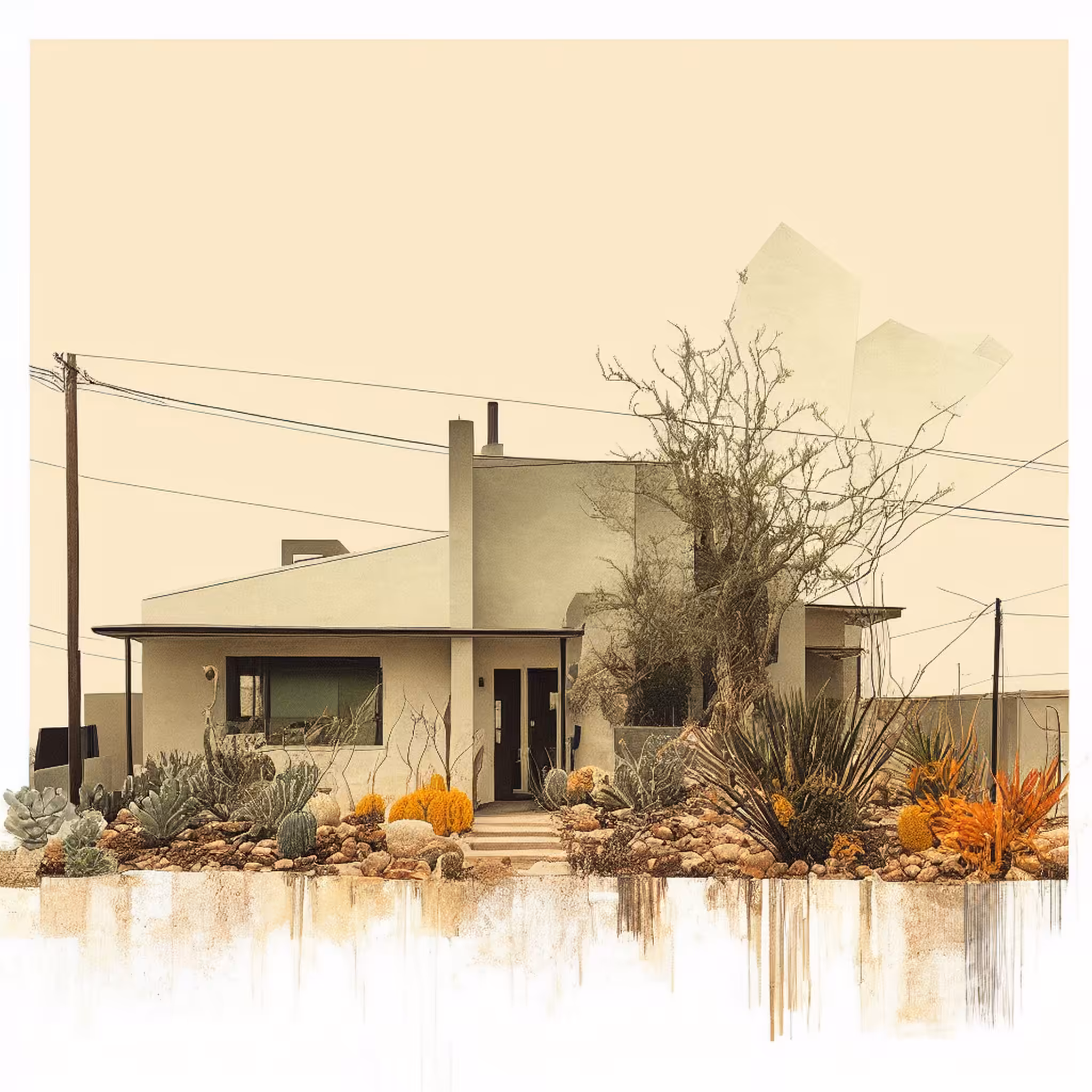 Desert Mornings #14
