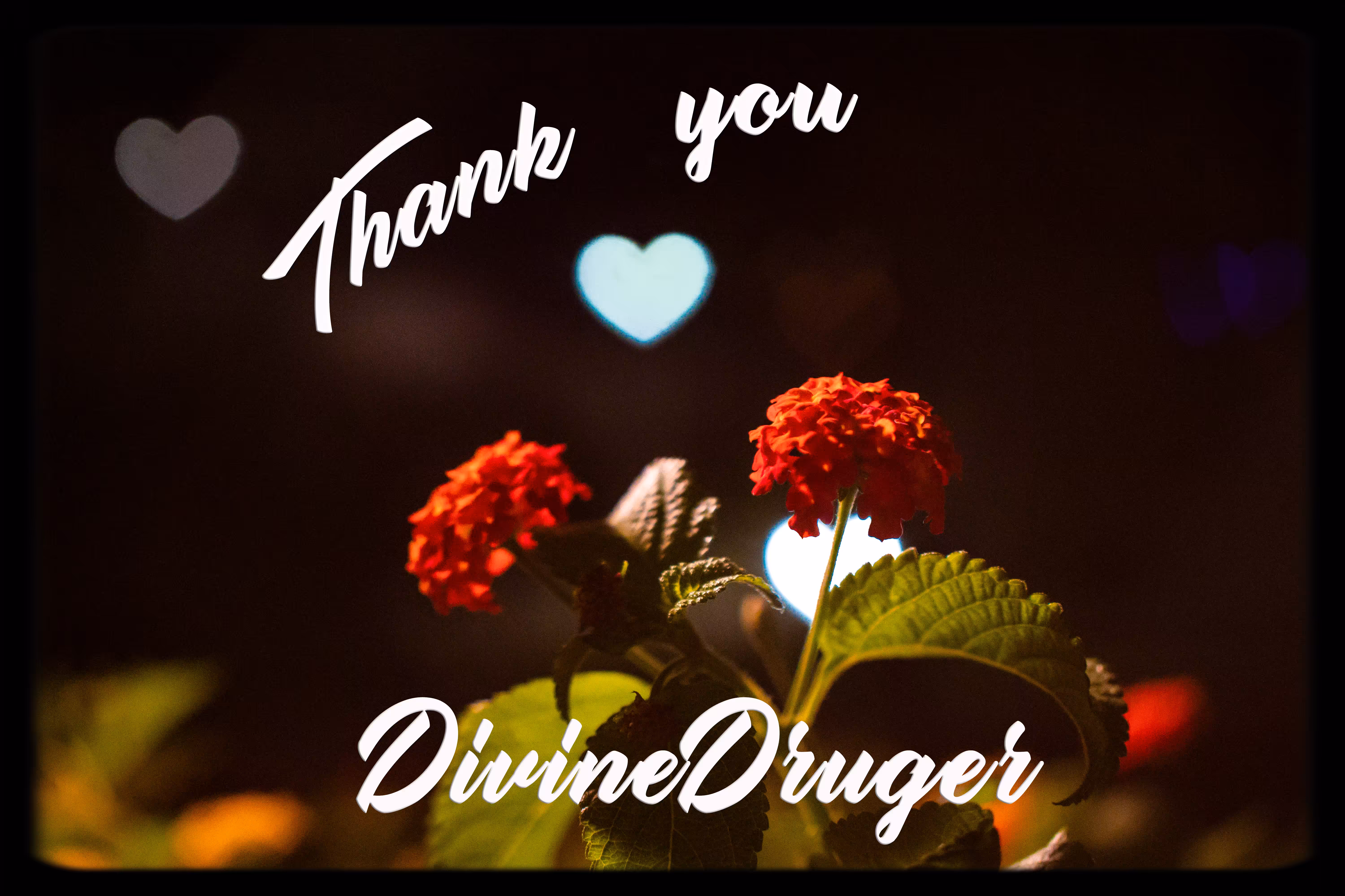 Thank You Divine Druger