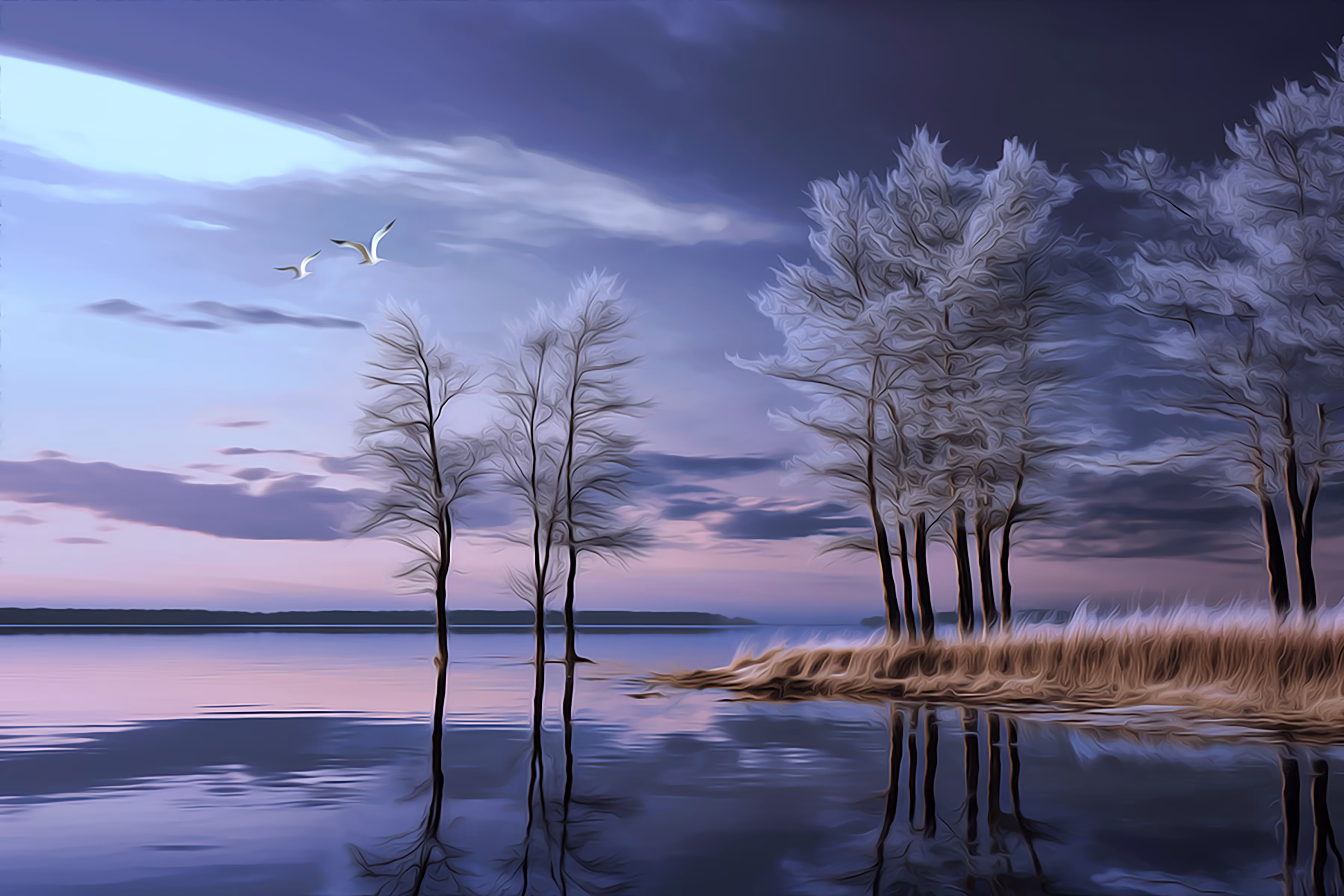 Scape 1