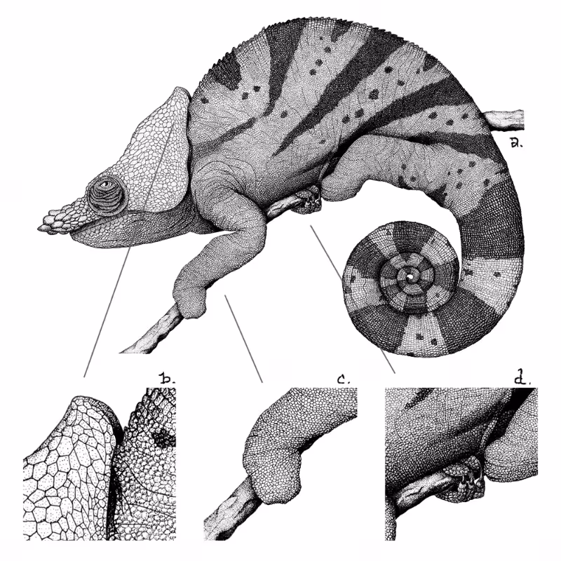 Chameleon - plante 1 #4