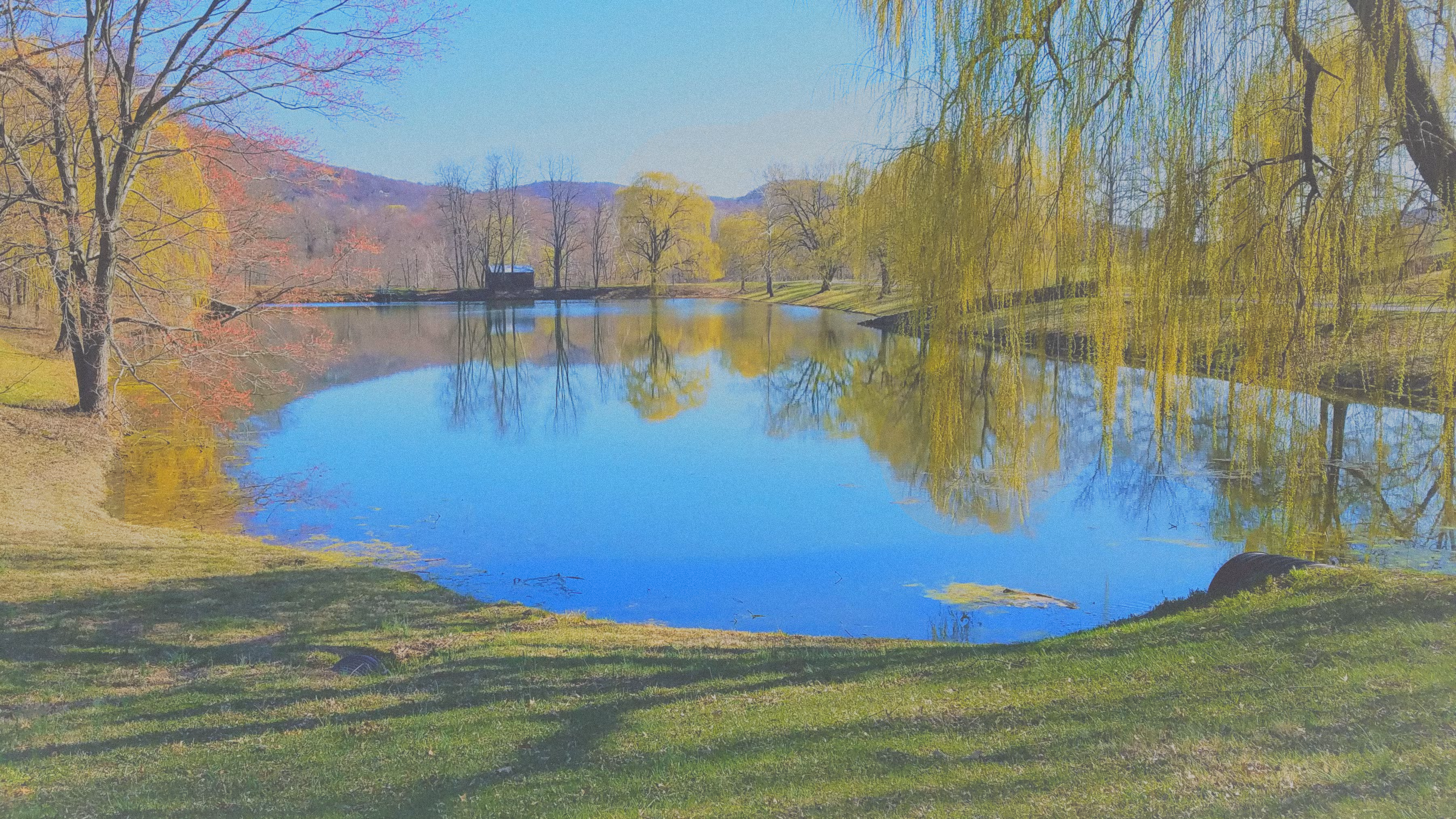 Pond