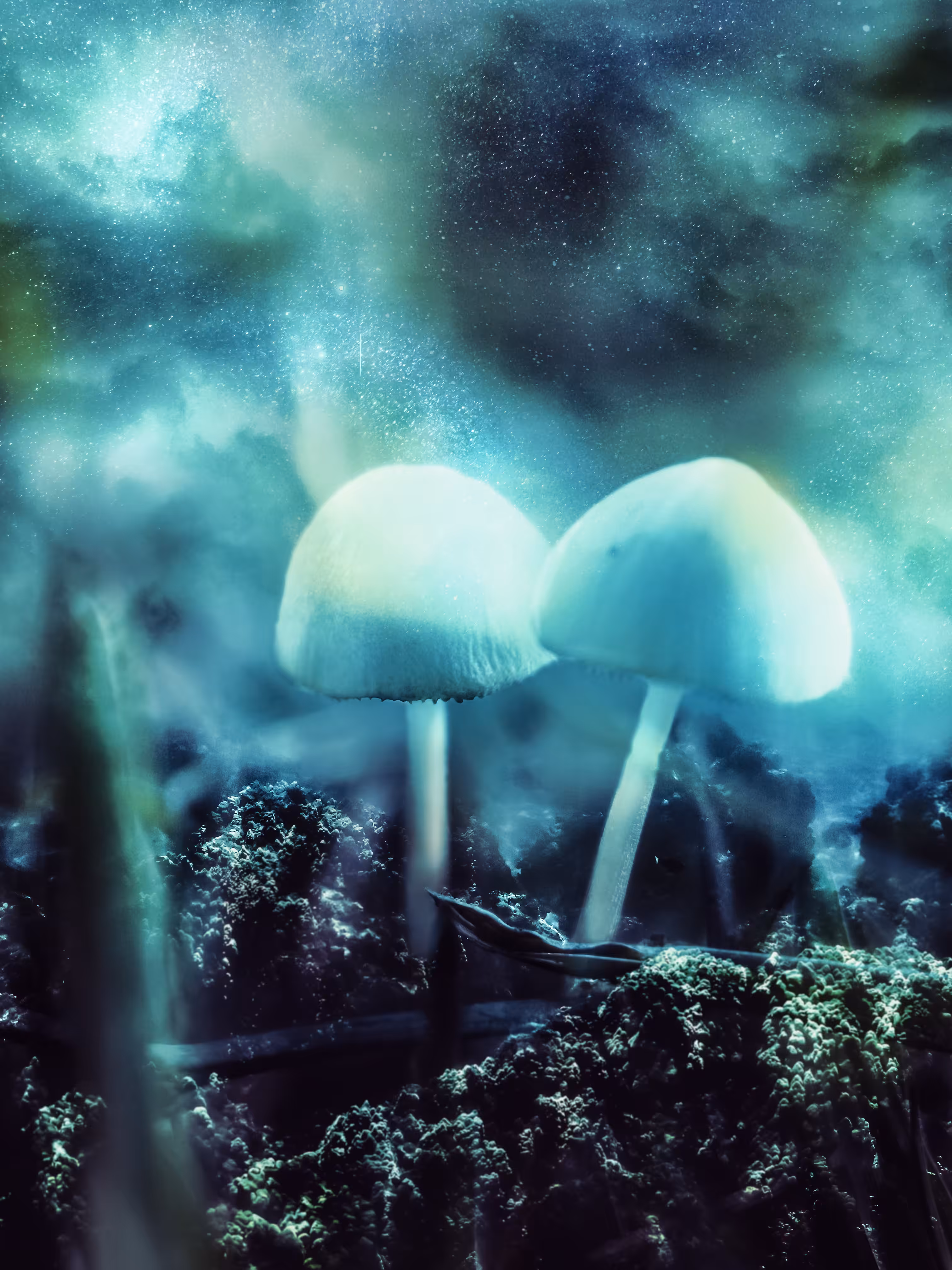Duo