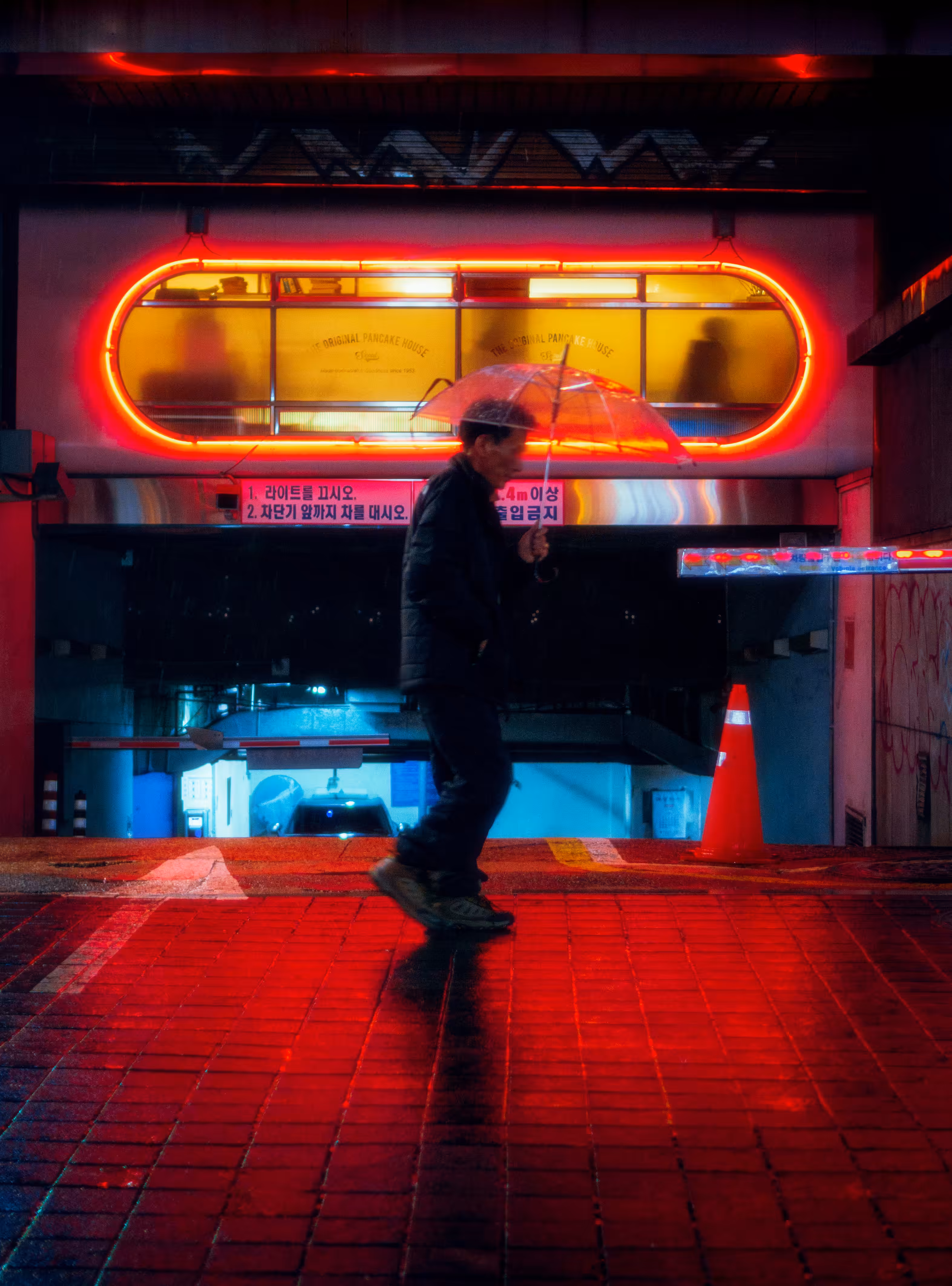Into The Night