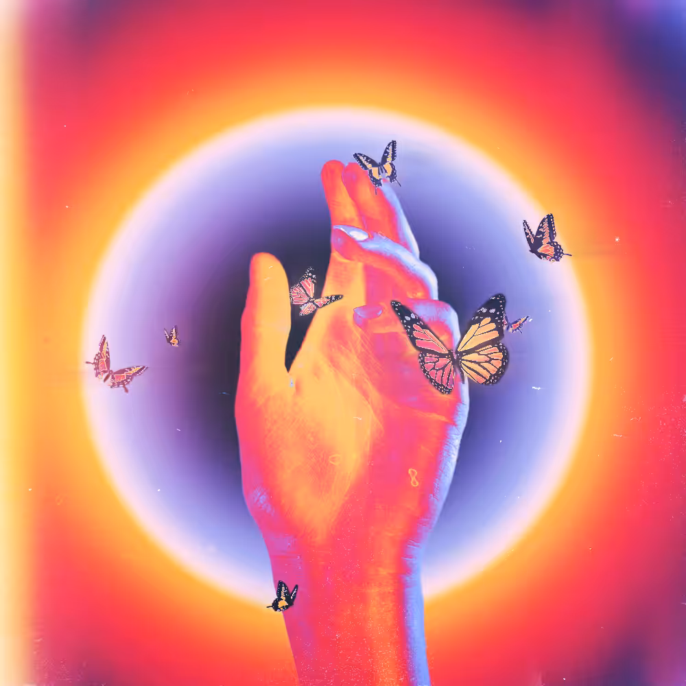 The Butterfly Effect - Choice