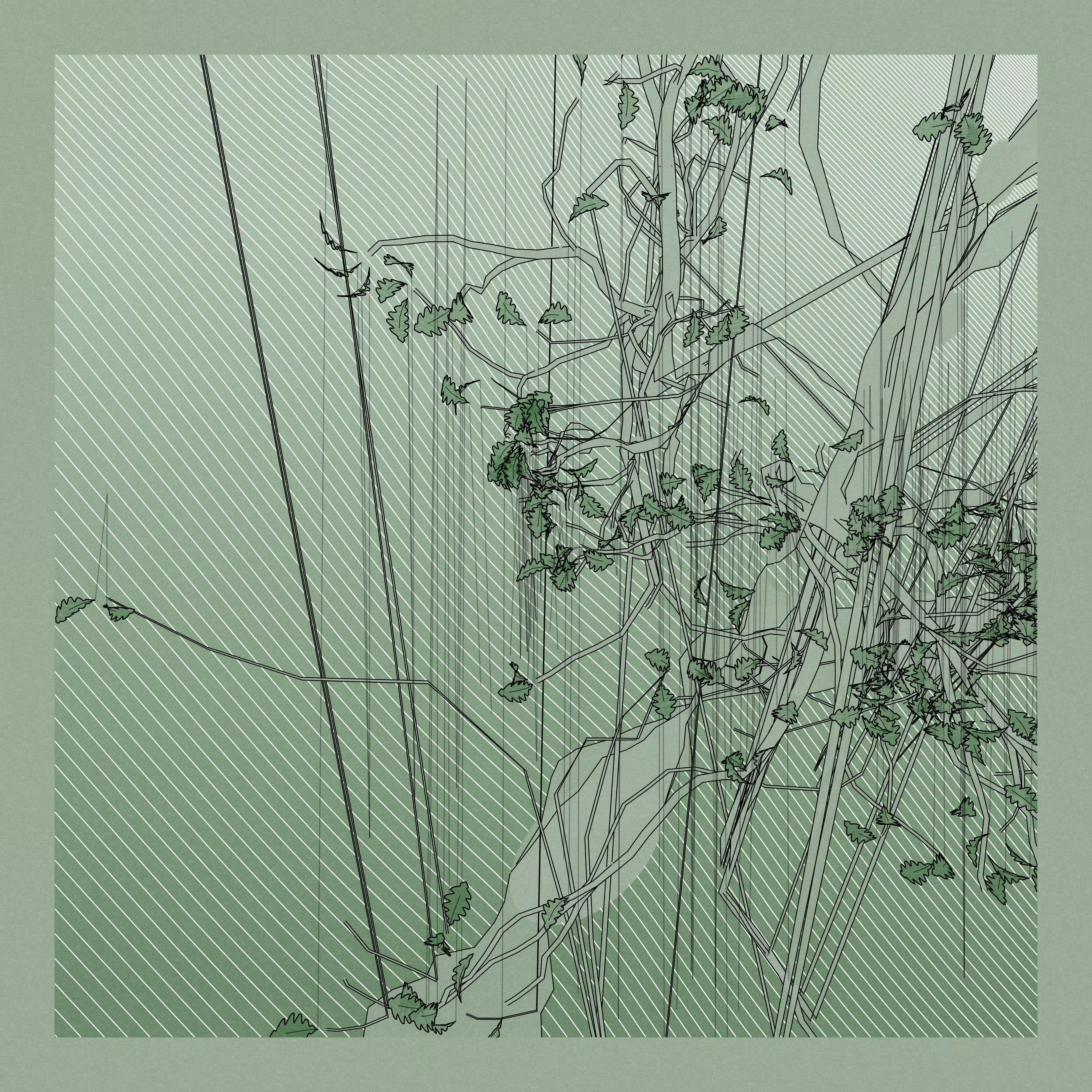 A Bugged Forest #509
