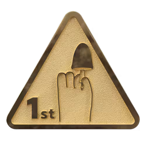 The FUNGIBLE's Pins