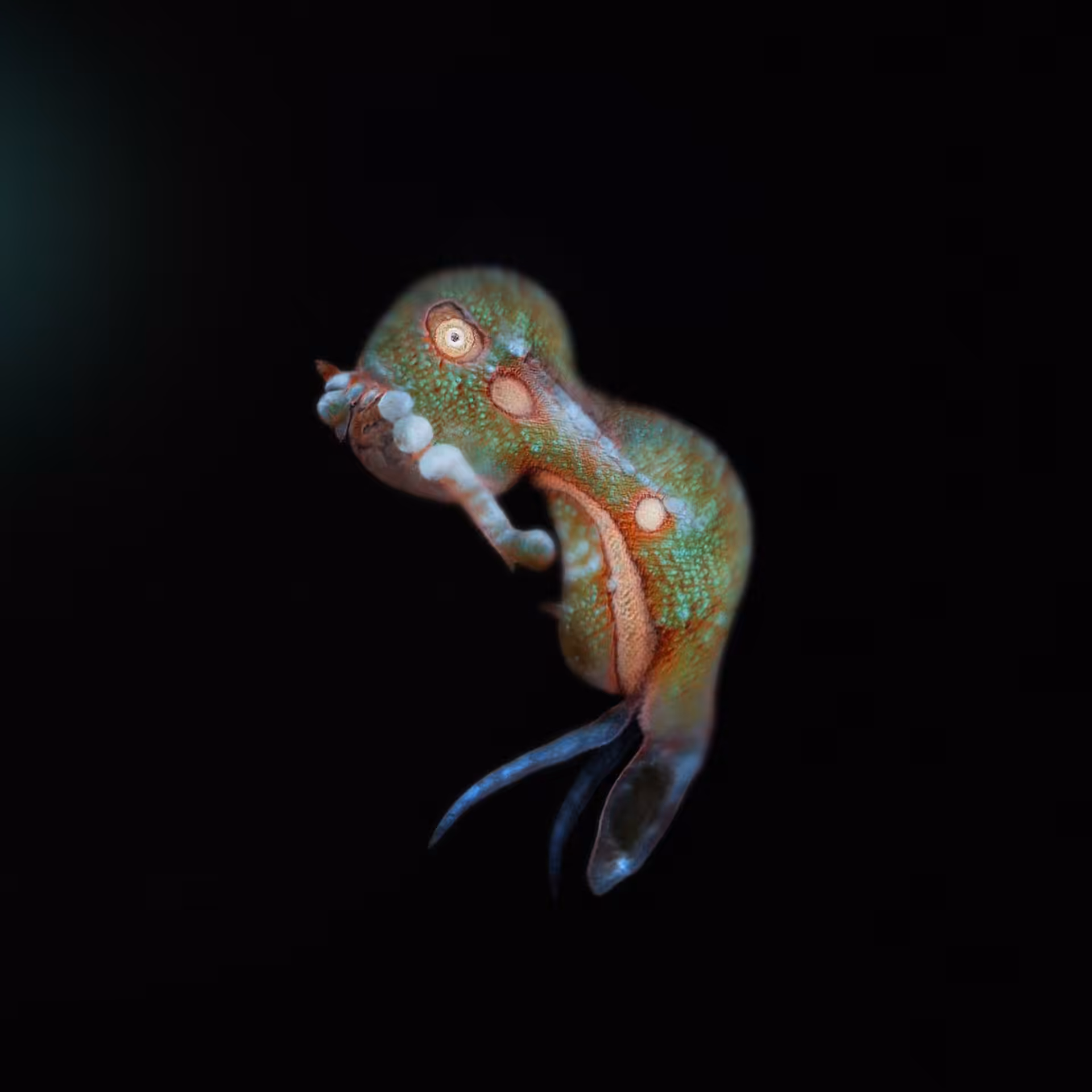 Sperma 57