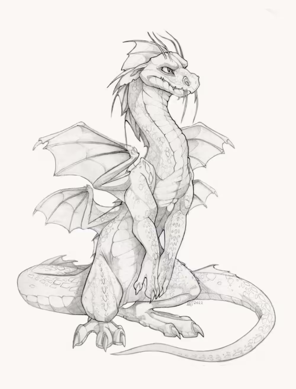 Magnus