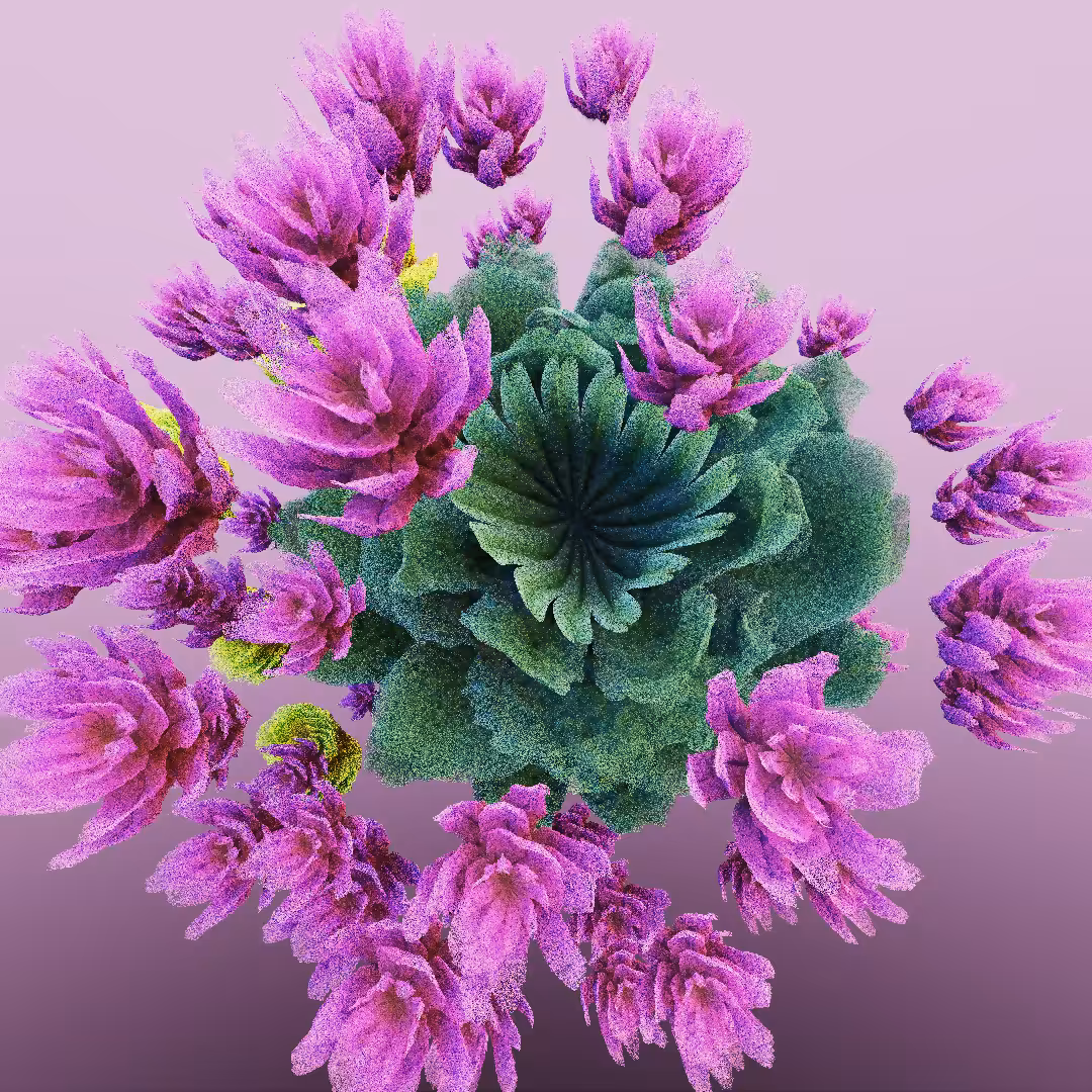 rosarium #154