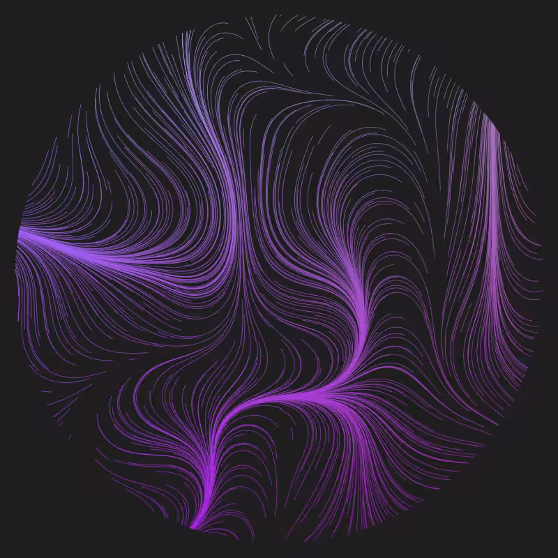Magnetic Fields #8