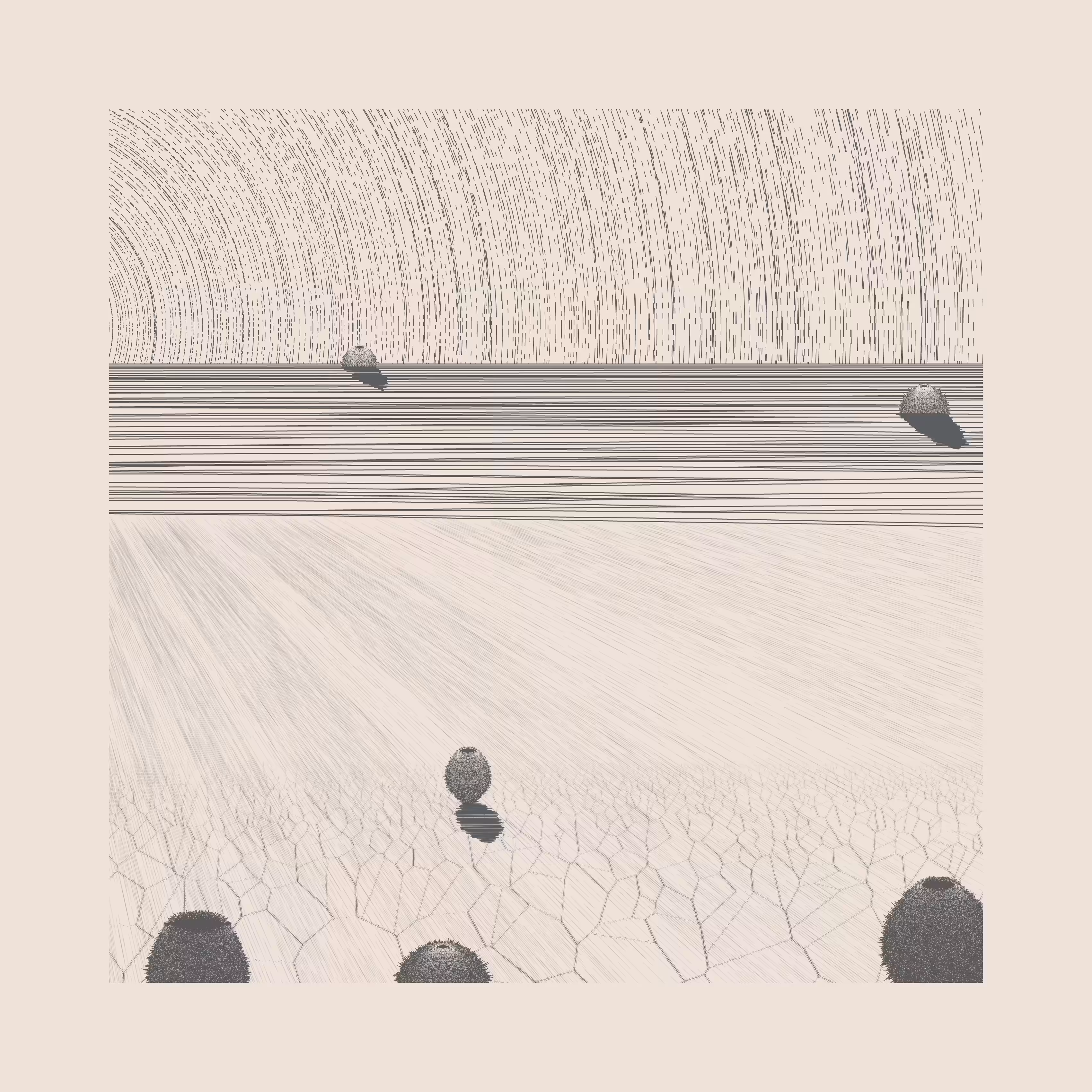 Under a New Sky #51