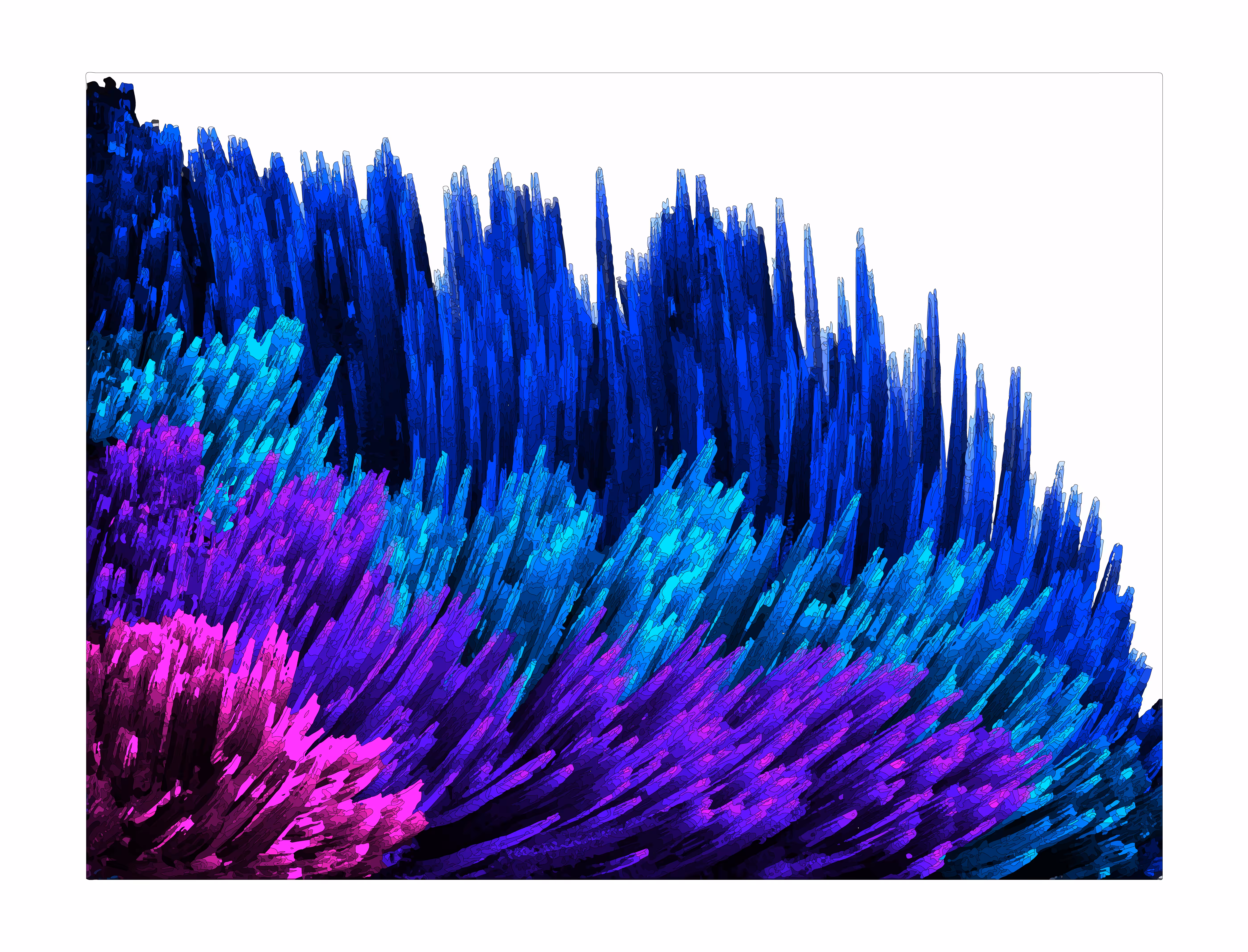 Coral Reef 