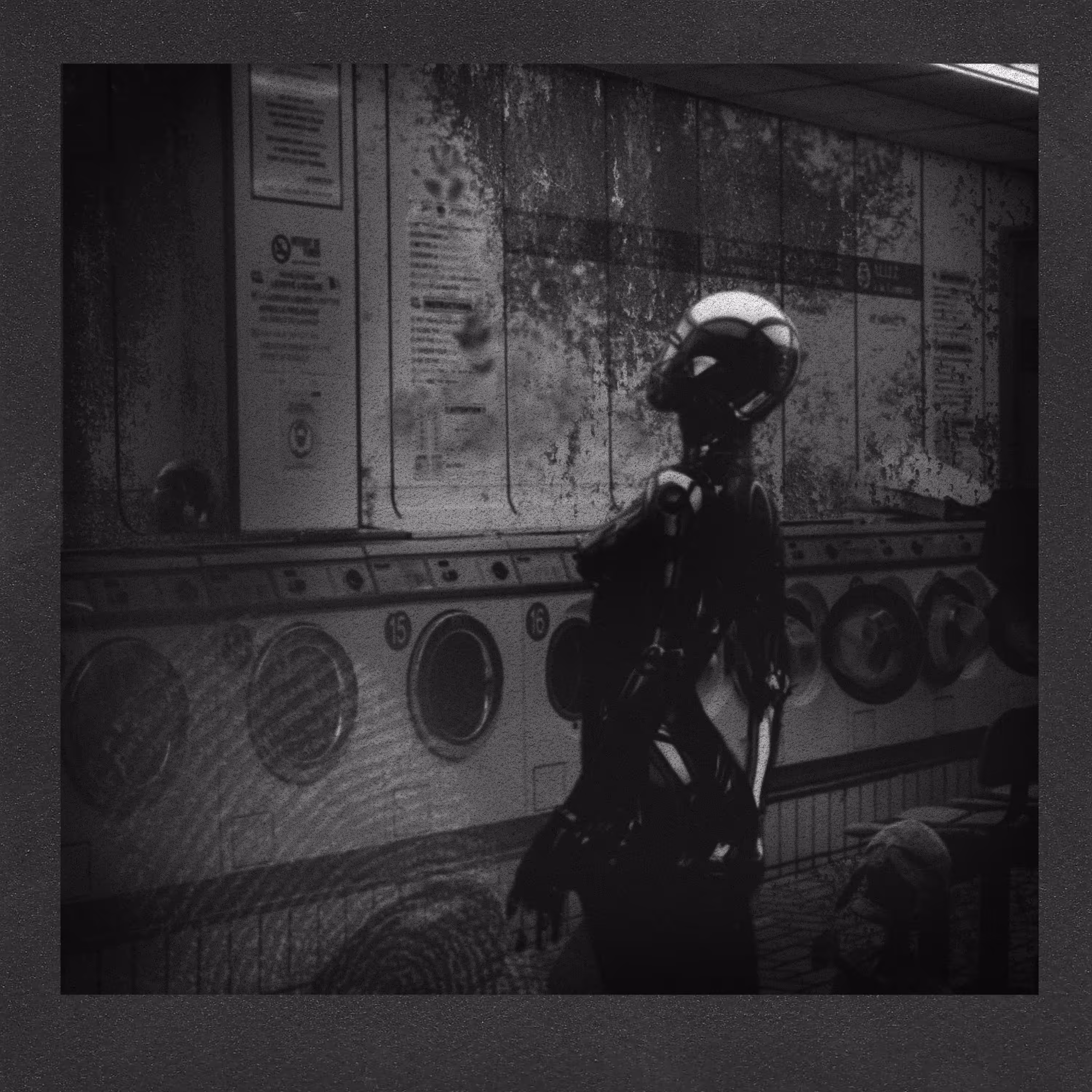Echoprint # 3 - Laundry Day