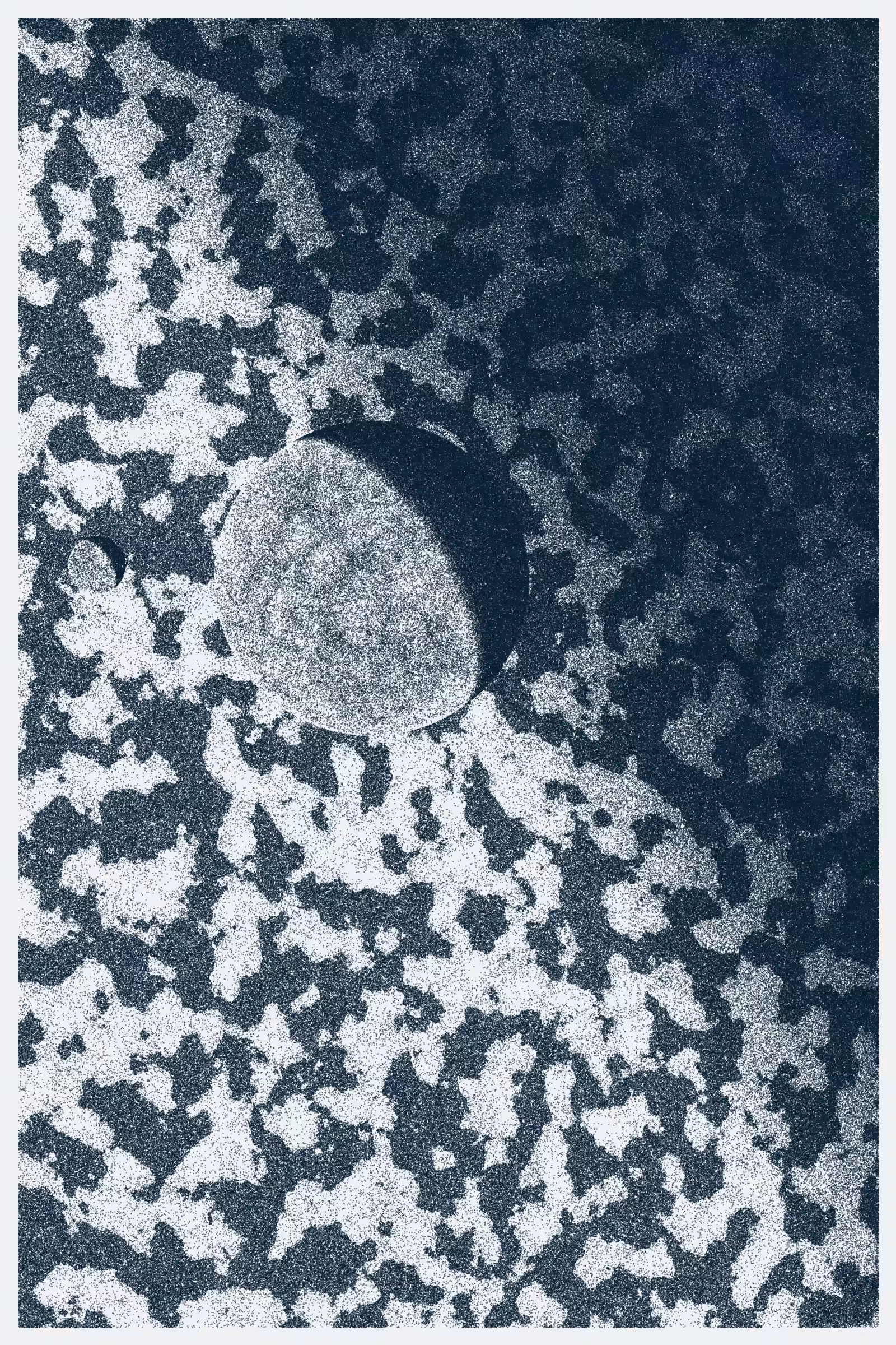 Voyager #108