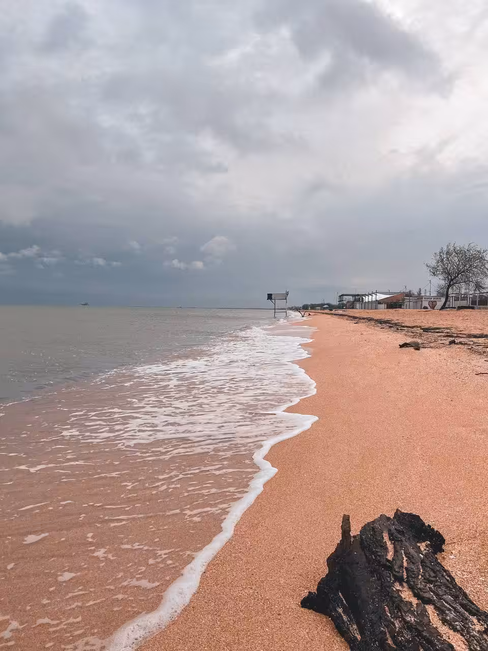 The sea inside me