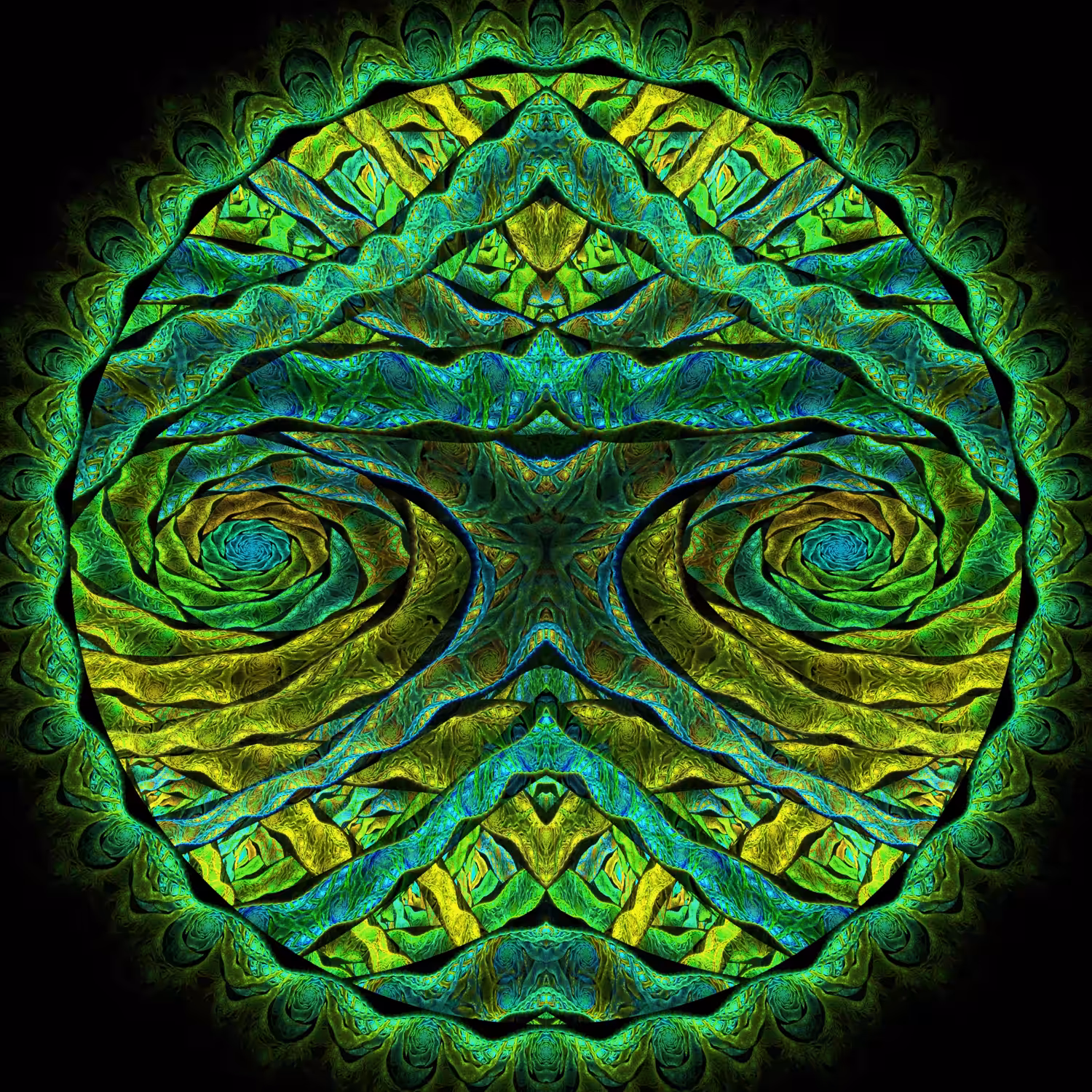JULIASCOPIC TRANSFORM