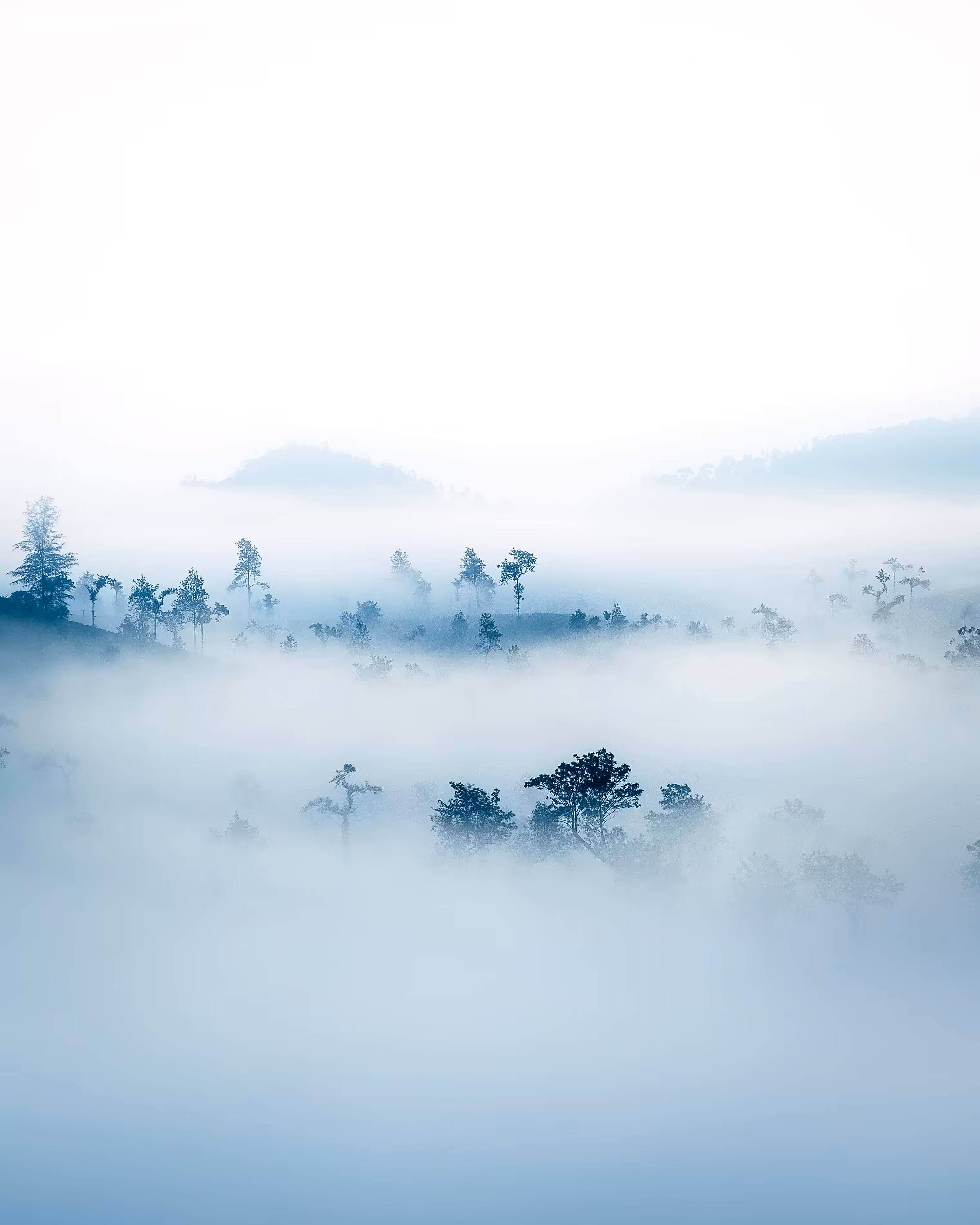 Misty World