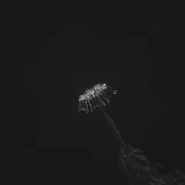 There was a time we all held hands and prayed for a better tomorrow // DARK