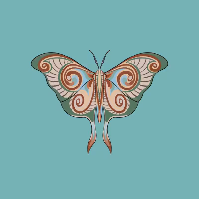The Moth Experiment 2.0 P2 #5