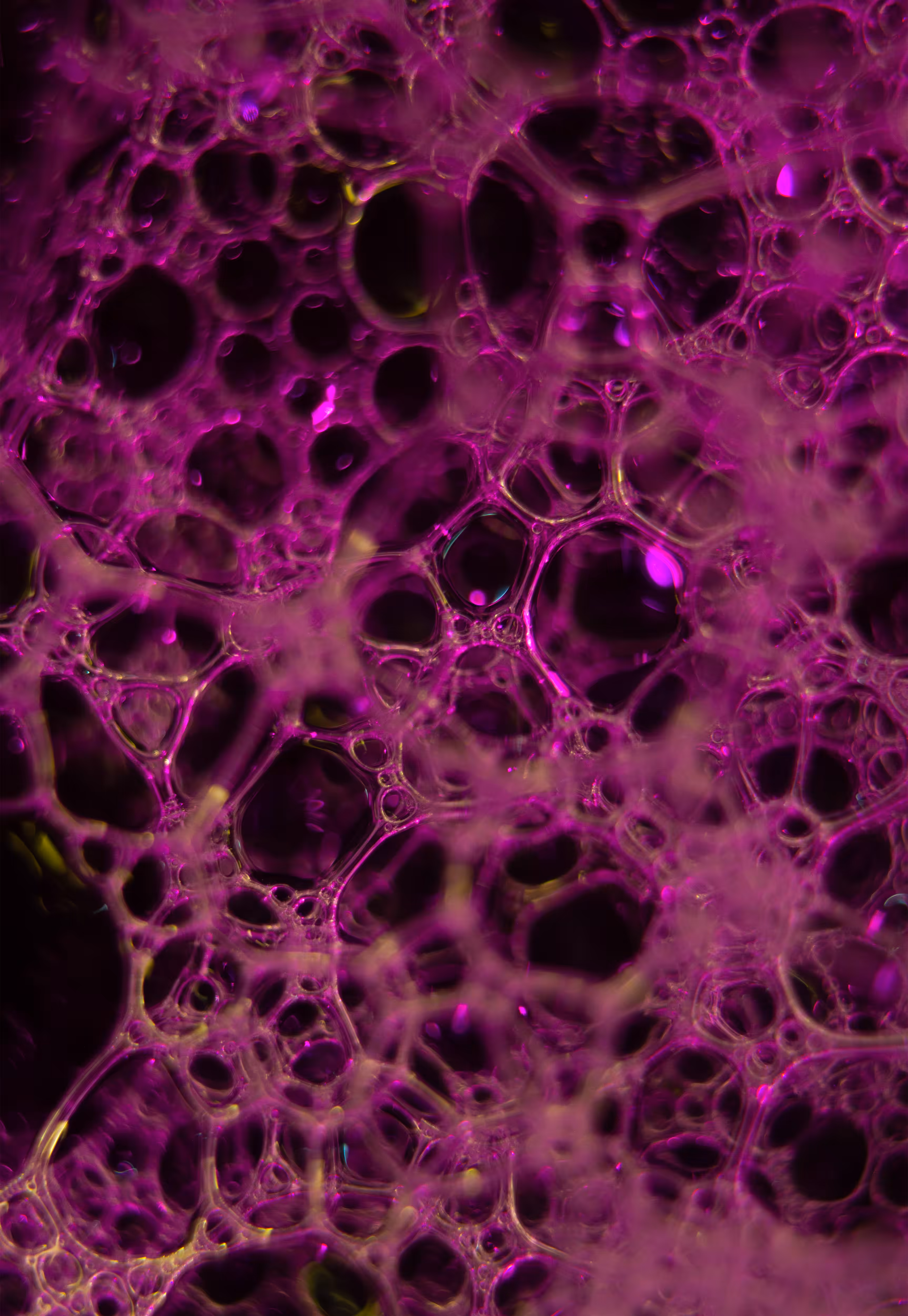 Abstract World of Soap Bubbles: #131 Bubbles