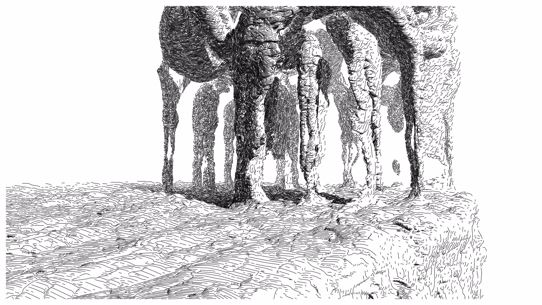GEOMORPHISM #138