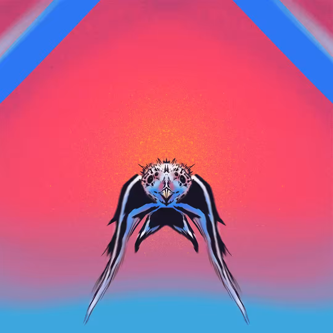 FLY