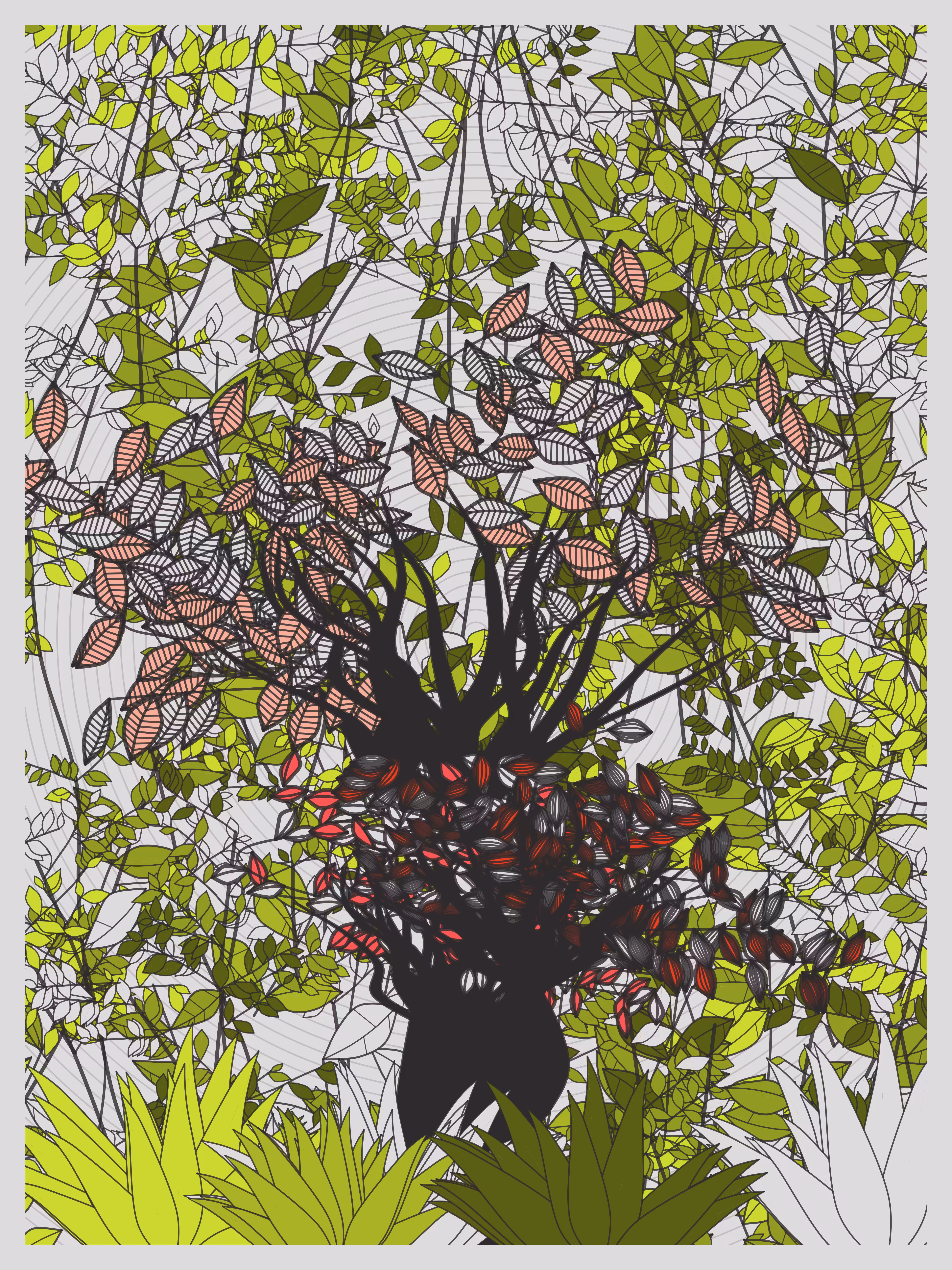 Germination #8