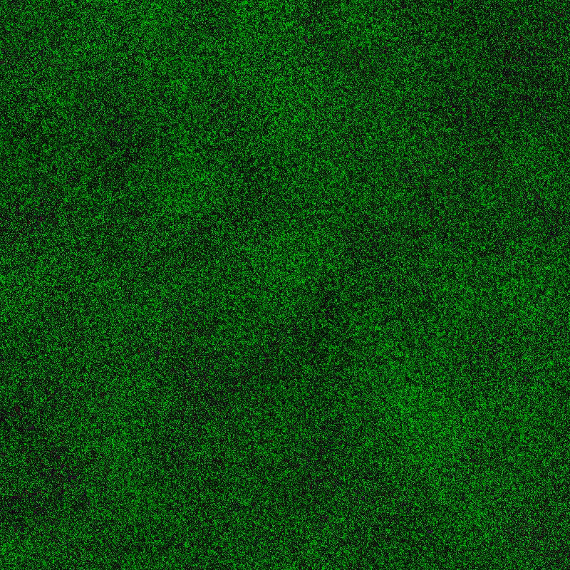 GREEN #5