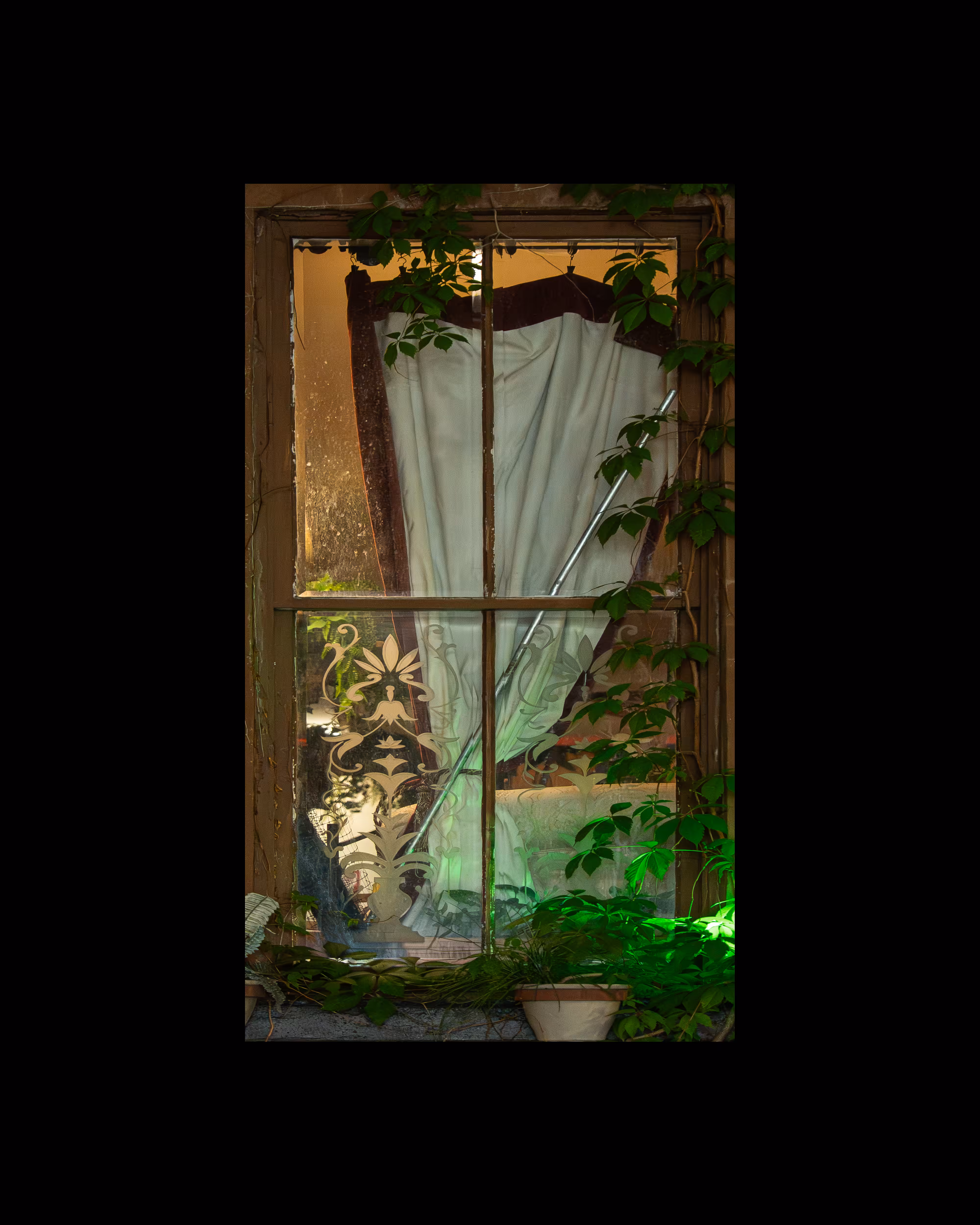 WINDOWS // NYC: WINDOW 118