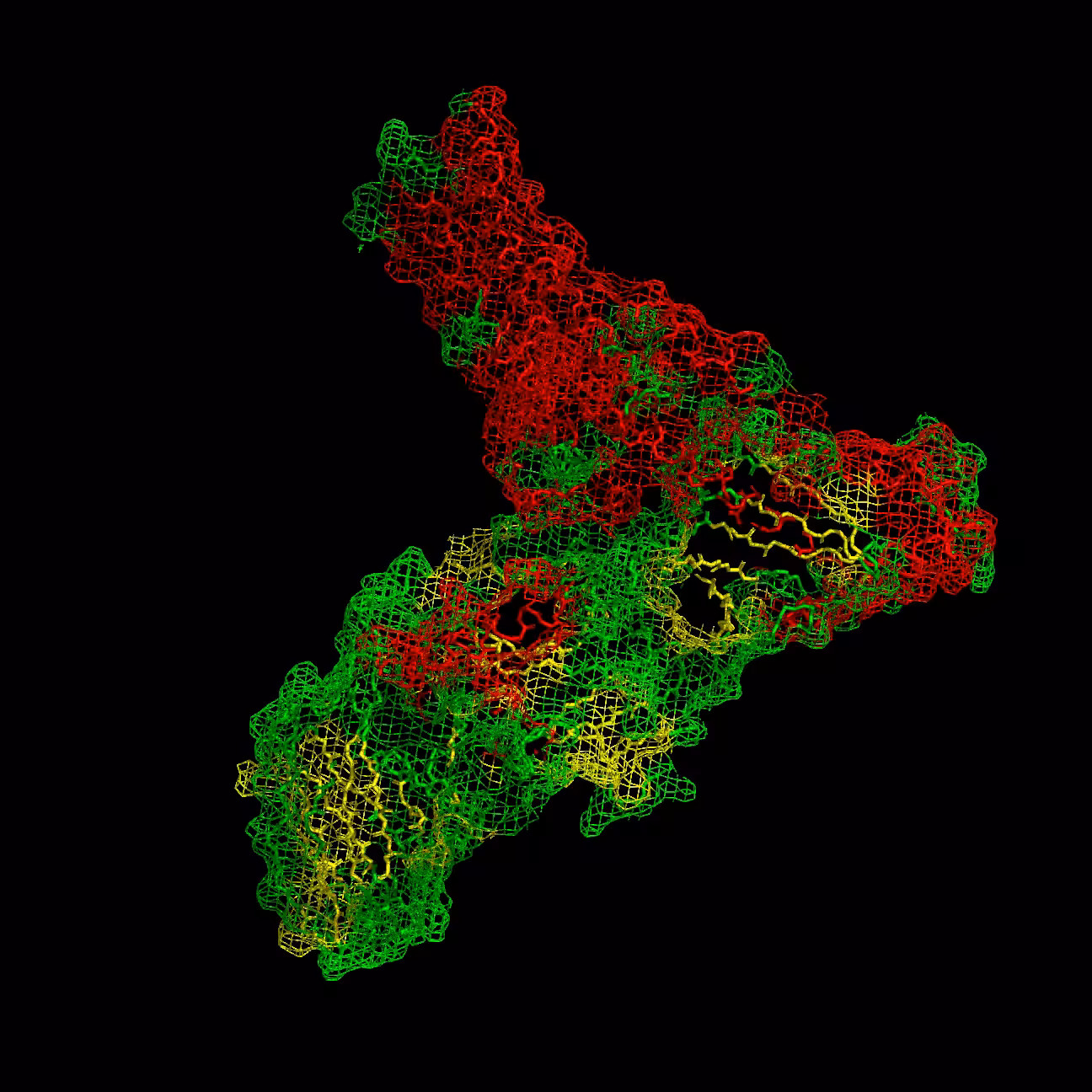 Cannabinoid Receptor-Gi Complex glitch