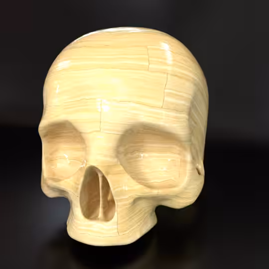 SkullZ #162